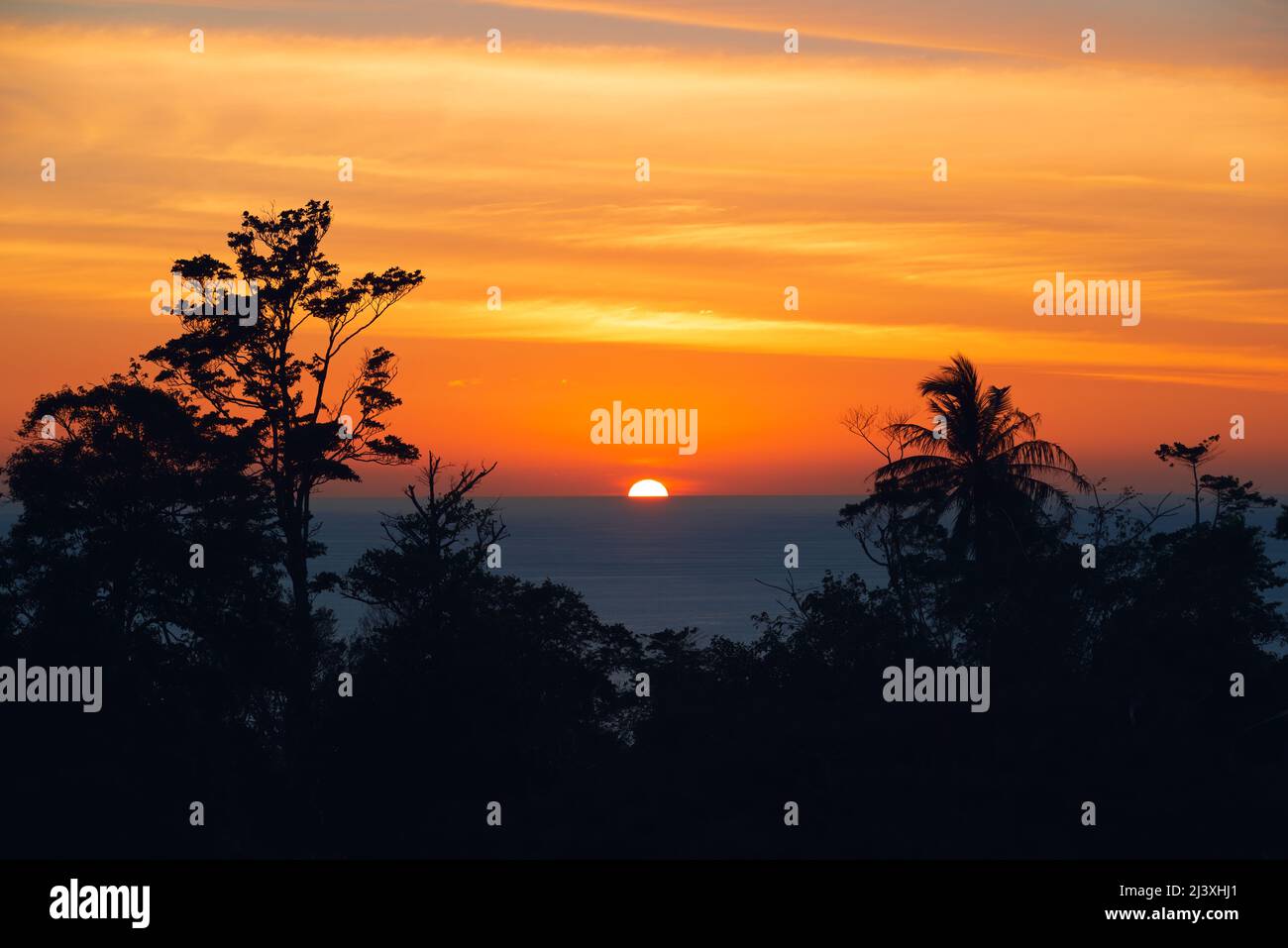 Beautiful Sunset over Andaman sea with dramatic natural orange cloudy sky. Tropical Trees Silhouette. Phuket, Thailand Stock Photo