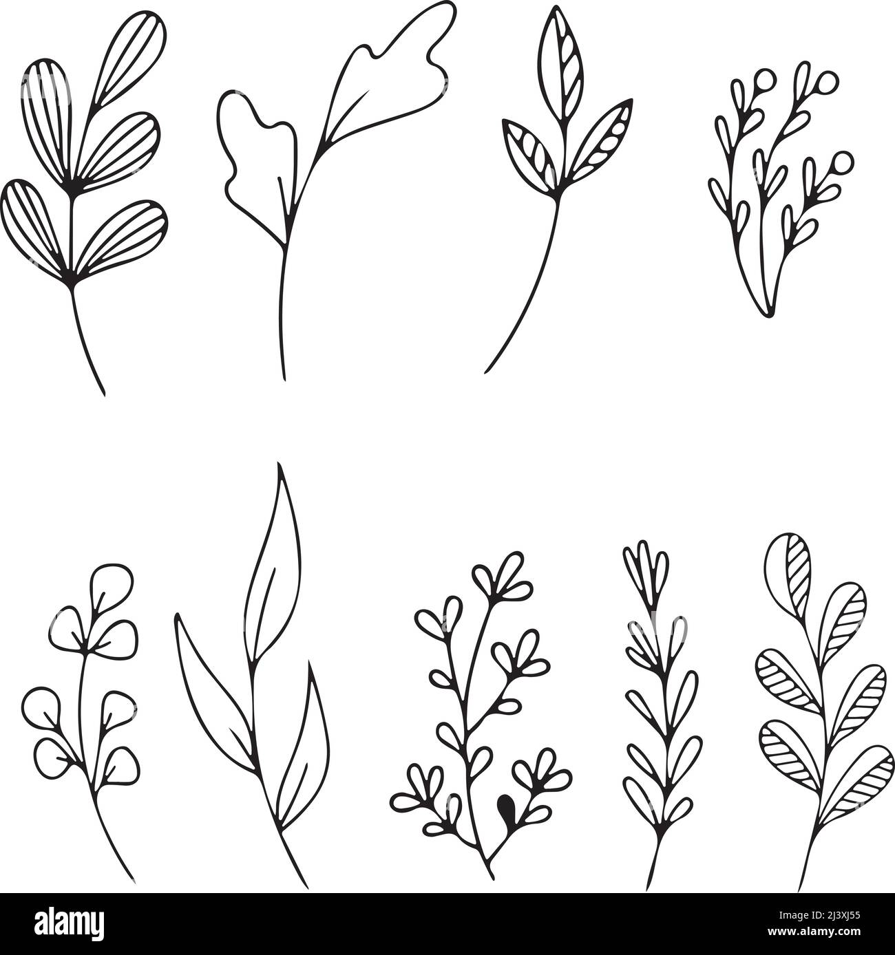 Set of Hand drawn doodle vector leaves and branches. Floral, plant ...