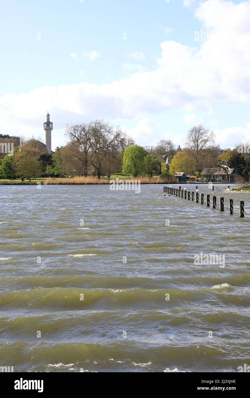 Strong spring winds whip up waves on the lake in Regents Park, looking towards the Central Mosque, in London, UK Stock Photo