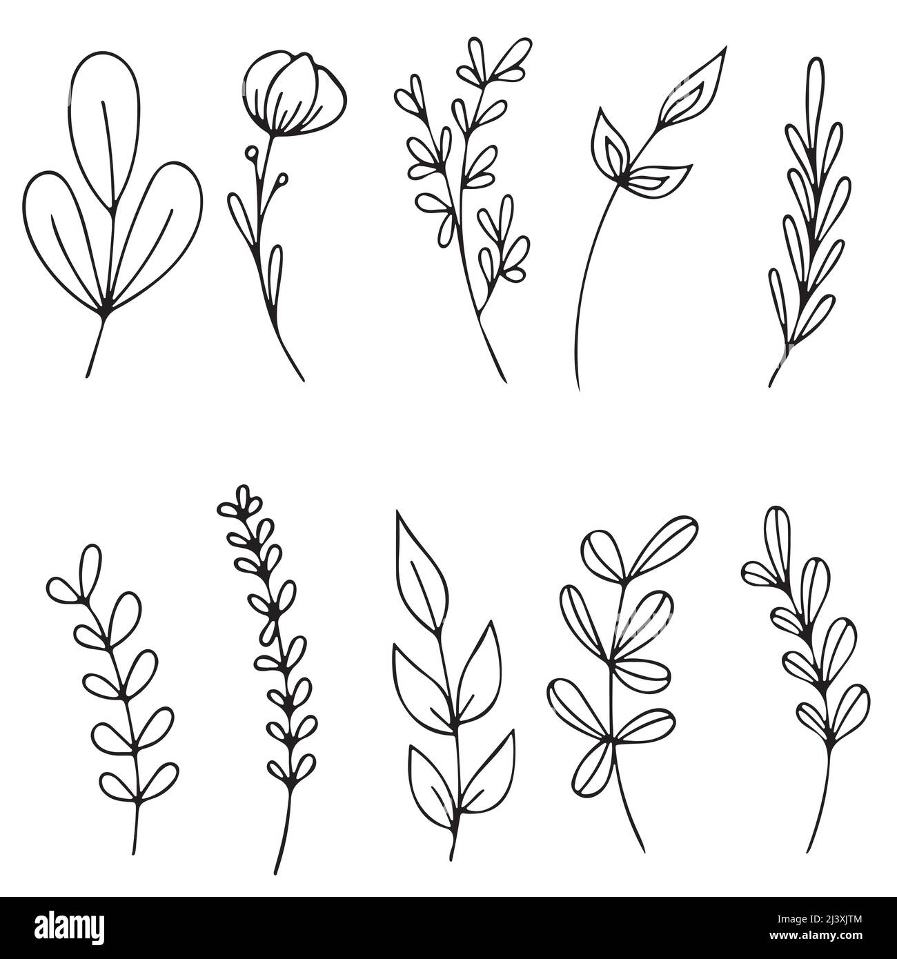 Set of Hand drawn doodle vector leaves and branches. Floral, plant ...