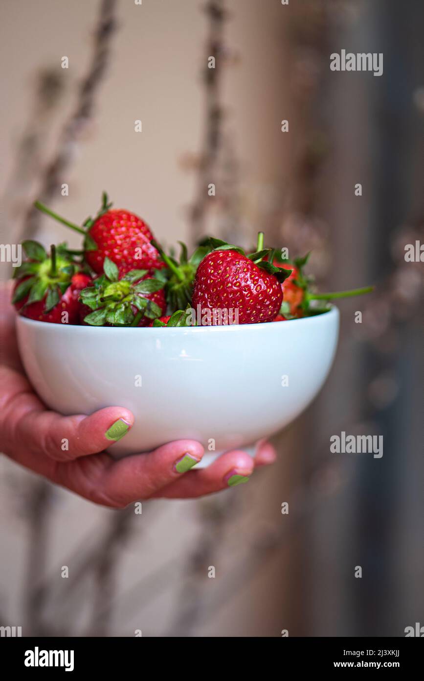 A woman holds a bowl of strawberry on a floral background, close up ...