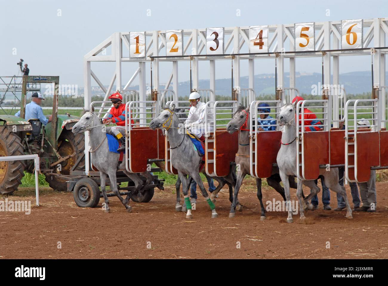 Horse race - Start second Stock Photo