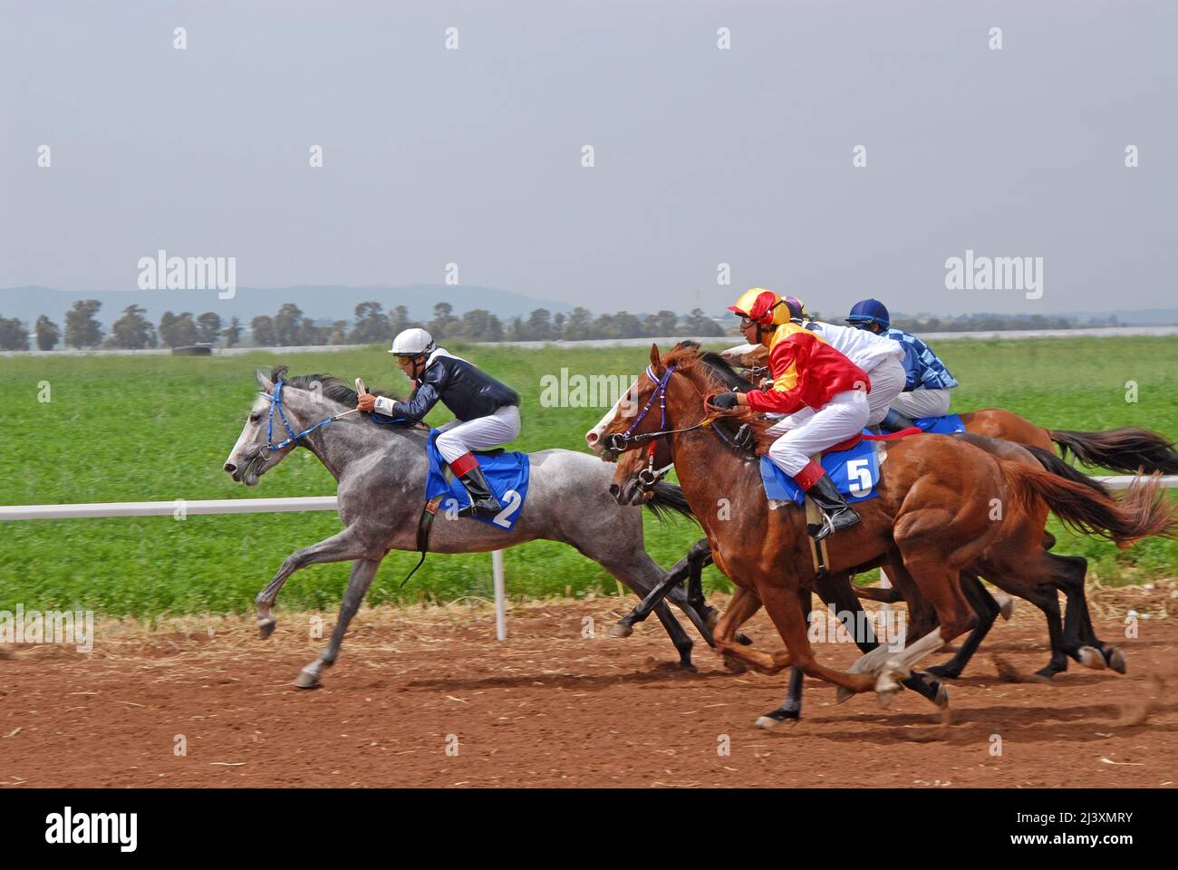 Horse race Stock Photo