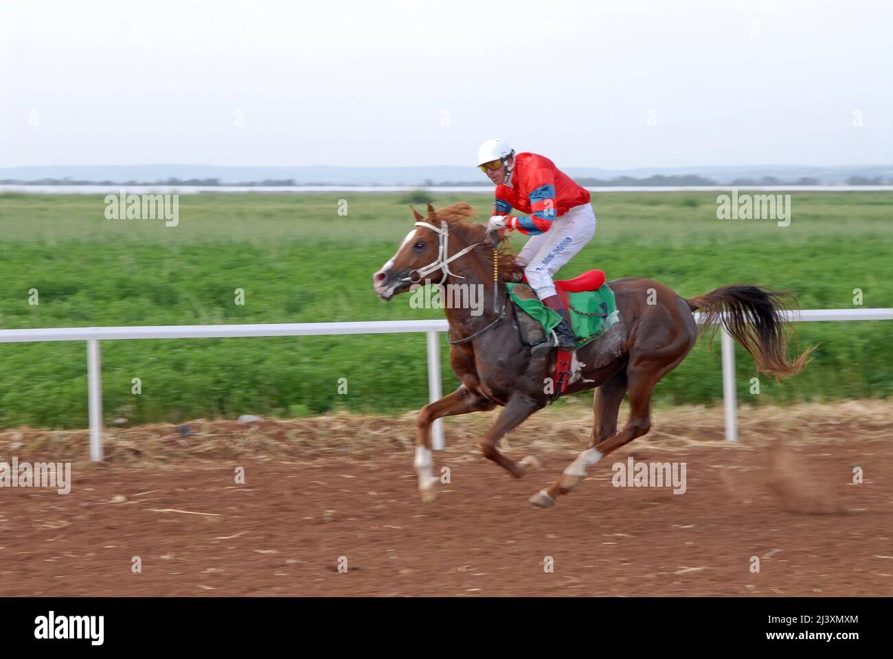 Horse race Stock Photo