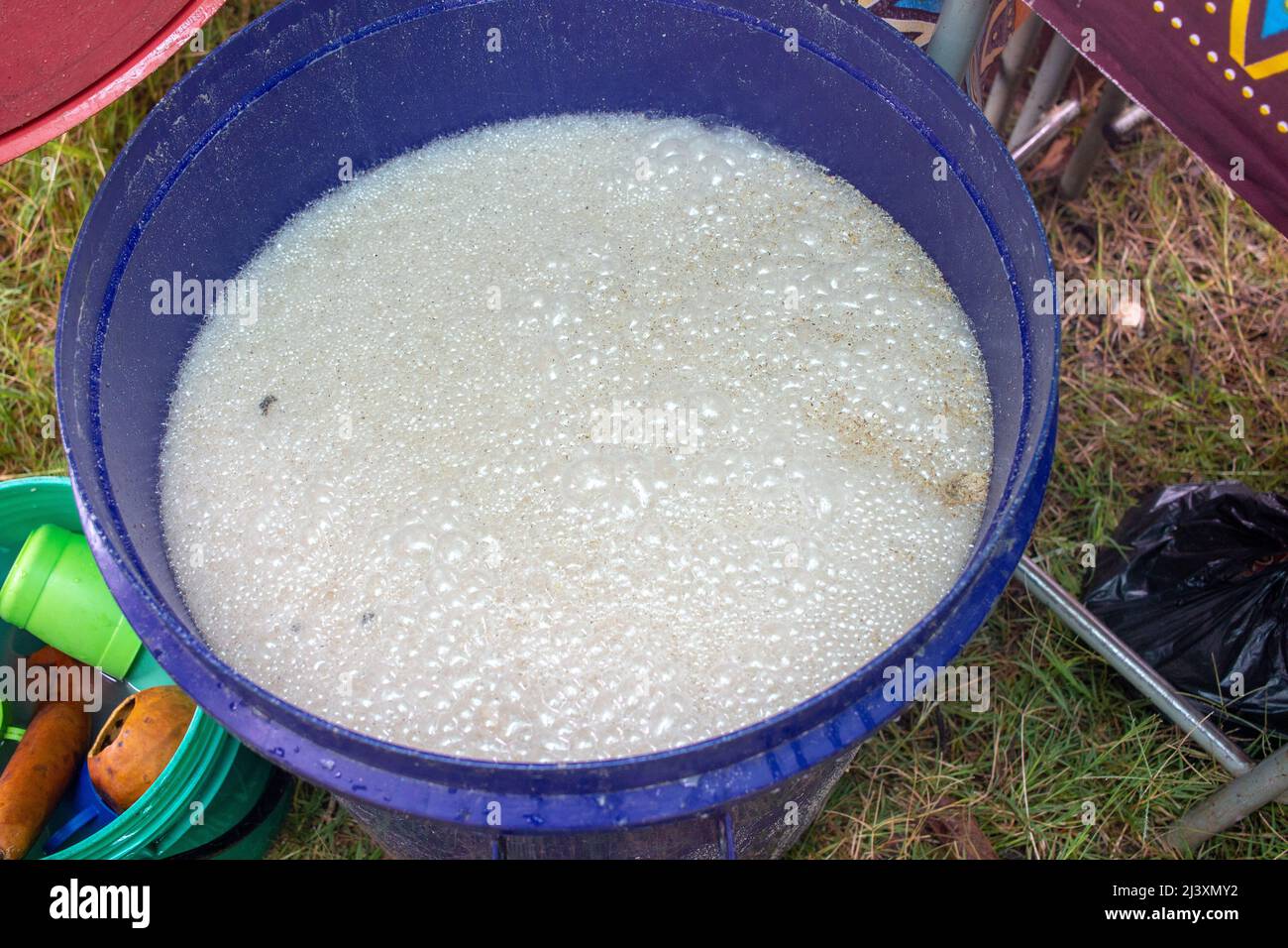 Corn millet hires stock photography and images Alamy