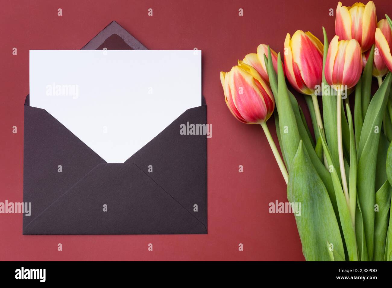 White Horizontal Card mockup or thank you card template in an envelope with  bouquet of tulips on burgundy background Stock Photo - Alamy