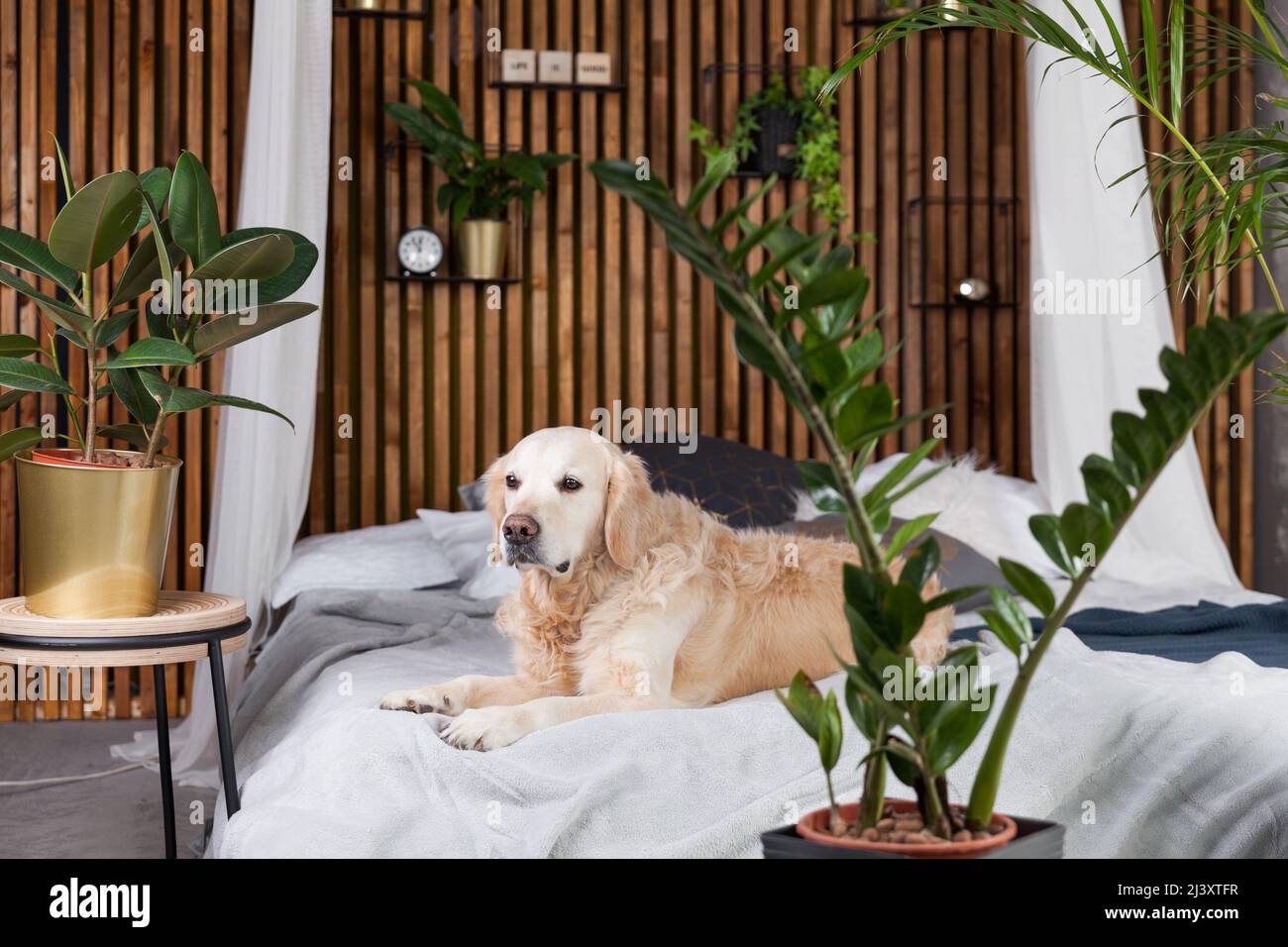 Image showcasing Styled interior scandinavian hi-res stock photography and images - Alamy