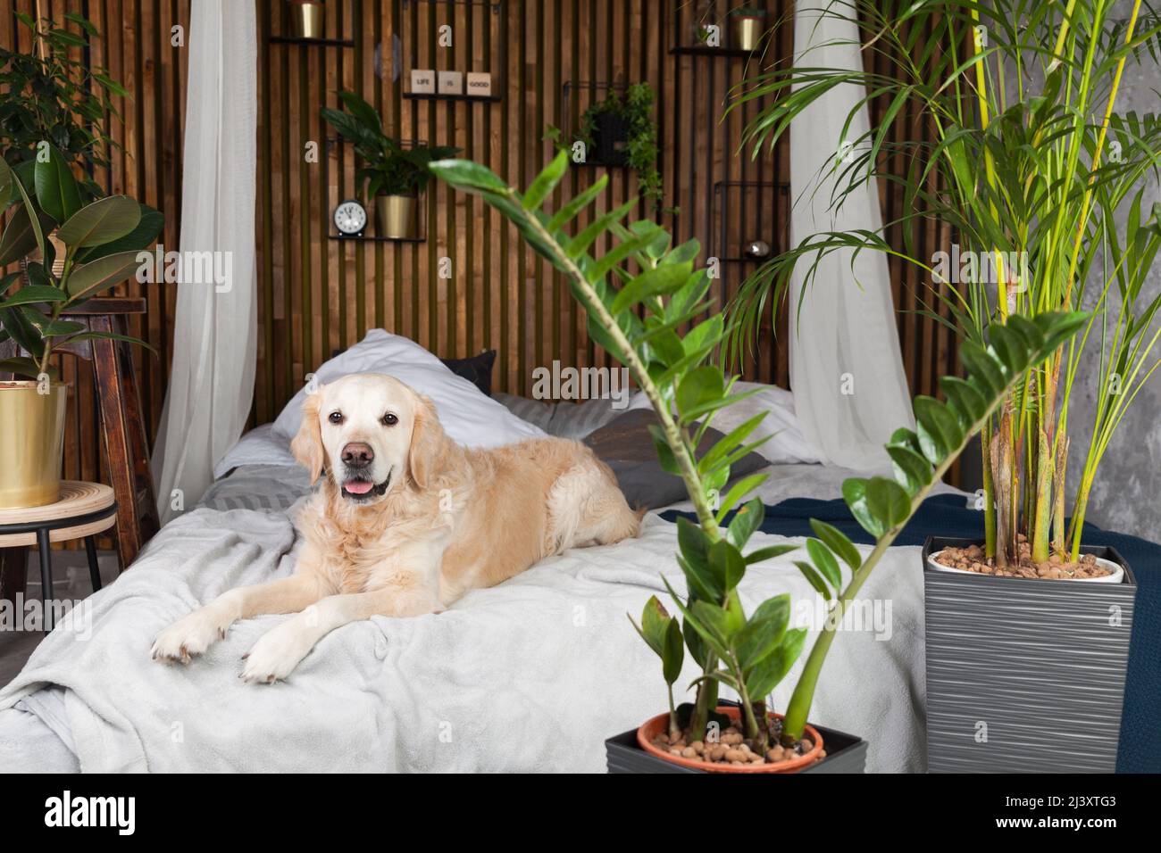 Image showcasing Styled interior scandinavian hi-res stock photography and images - Alamy