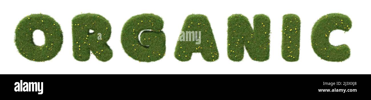 Word 'organic' made of realistic grass letters, isolated on white background. 3D image Stock Photo