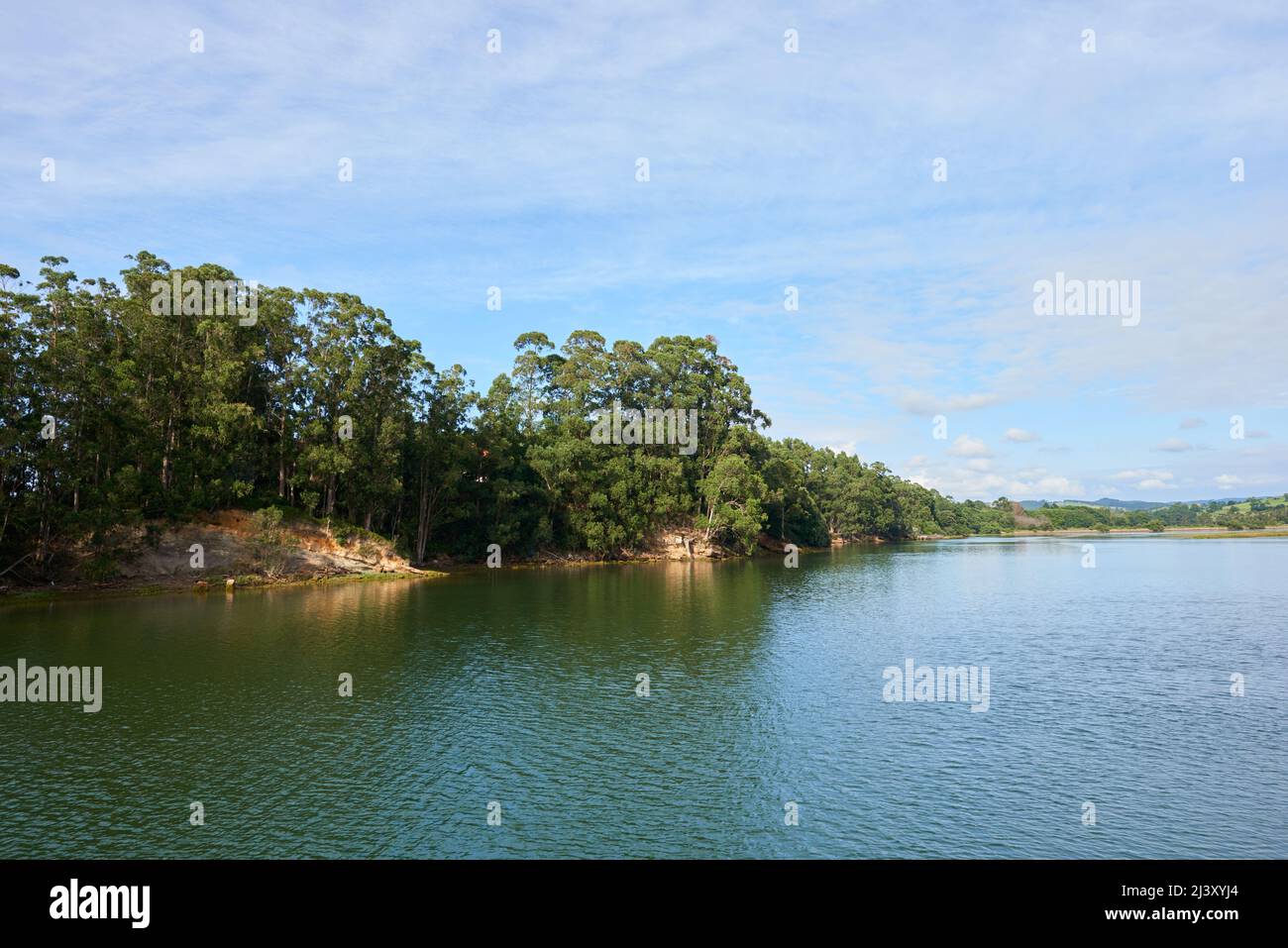 Abundant vegetation on the banks hi-res stock photography and images ...
