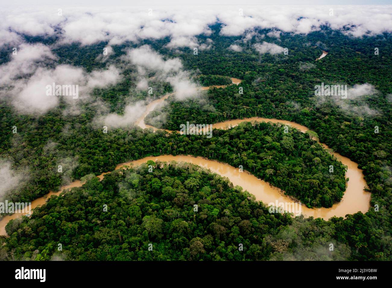 Aerial Drone shot of Ecuadorian Amazon Rainforest Stock Photo