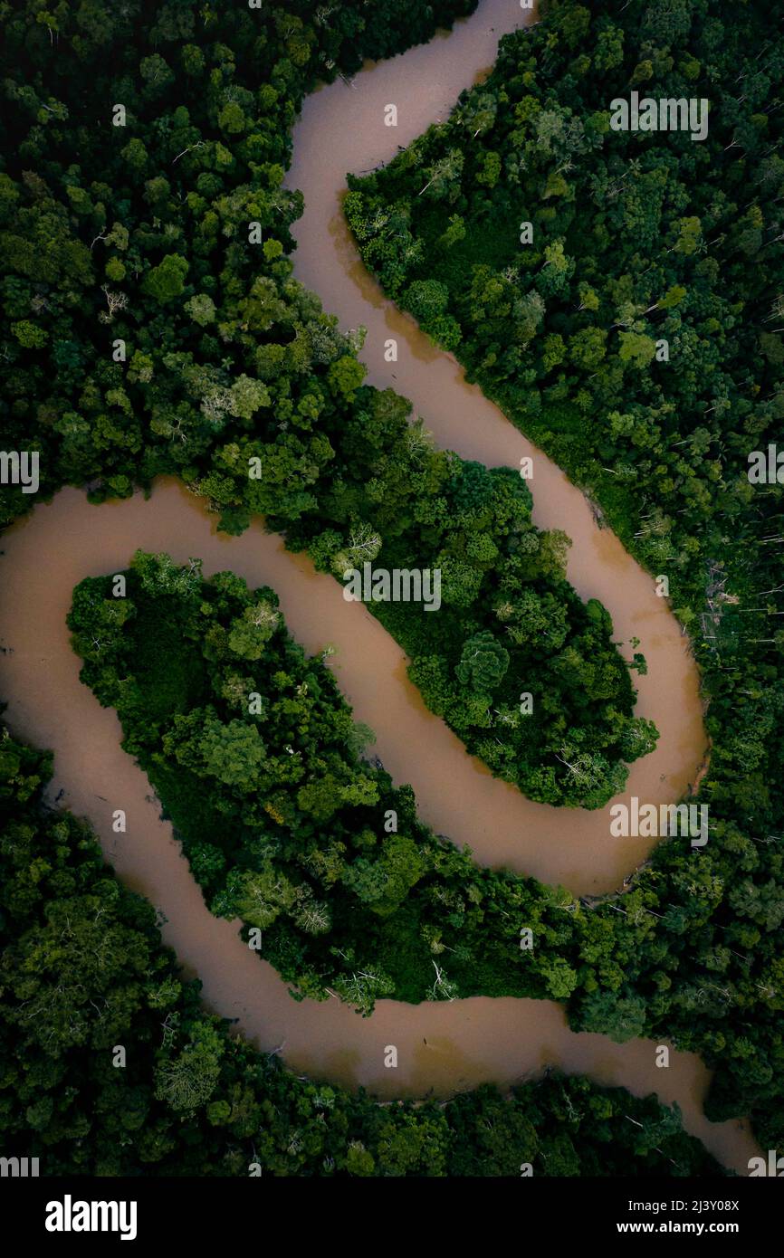 Aerial Drone shot of Ecuadorian Amazon Rainforest Stock Photo
