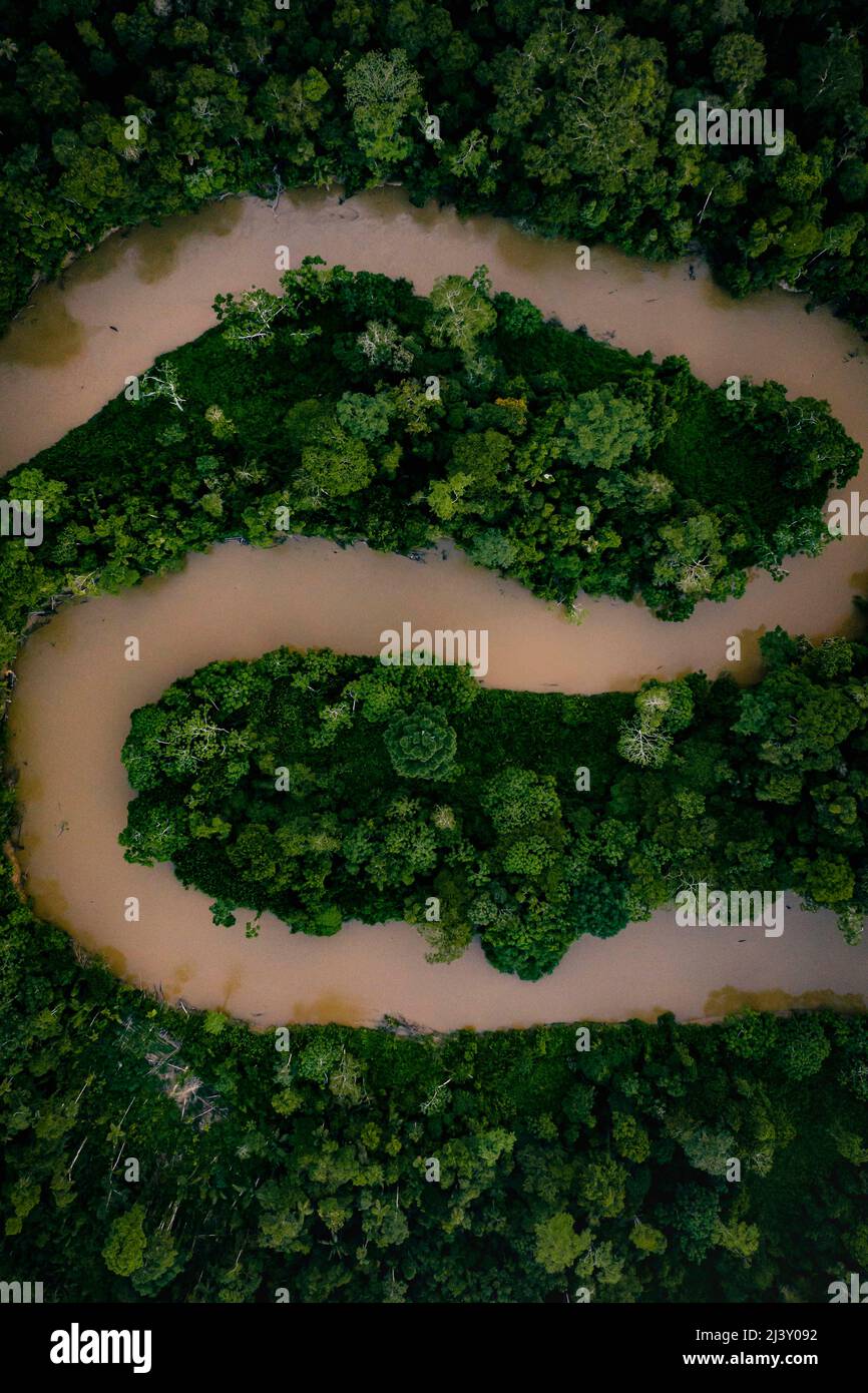 Aerial Drone shot of Ecuadorian Amazon Rainforest Stock Photo