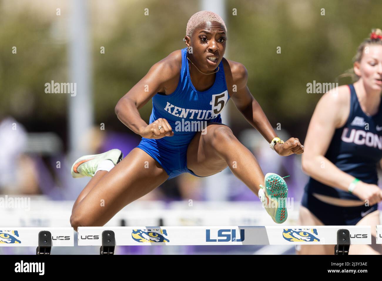 Kendall Jordan of Kentucky runs the 100 hurdles in a time of 14.07