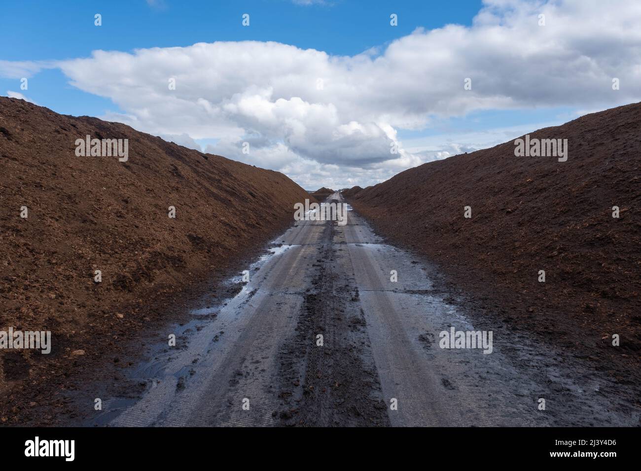 Peat Latvian gold. Peat bogs. Road in the swamp Stock Photo Alamy