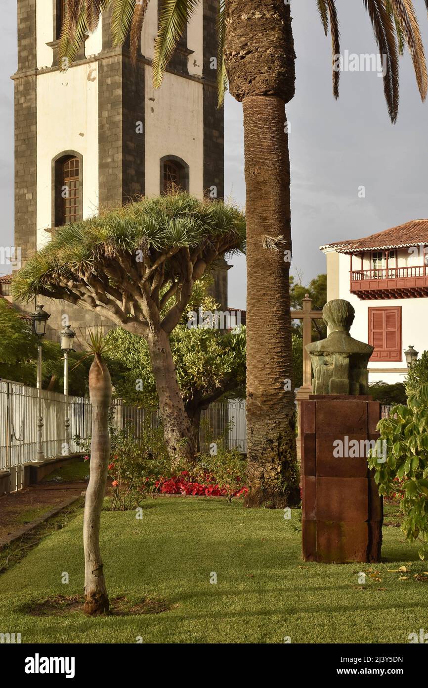 Iglesia de la Concepción church and backyard garden at Plaza de la Iglesia square in Santa Cruz de Tenerife Canary Islands Spain. Stock Photo