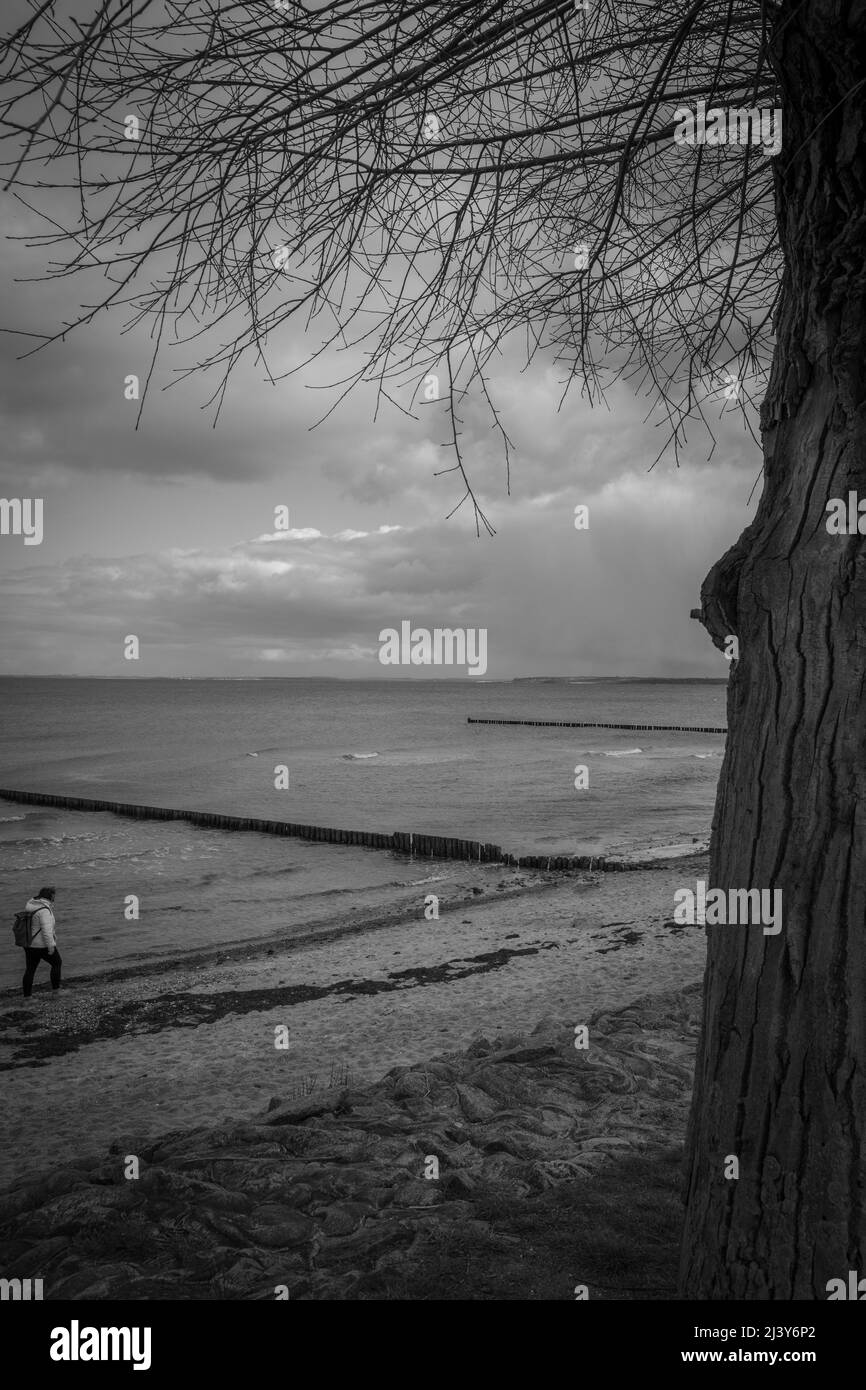 Scenic view baltic sea Black and White Stock Photos & Images - Alamy