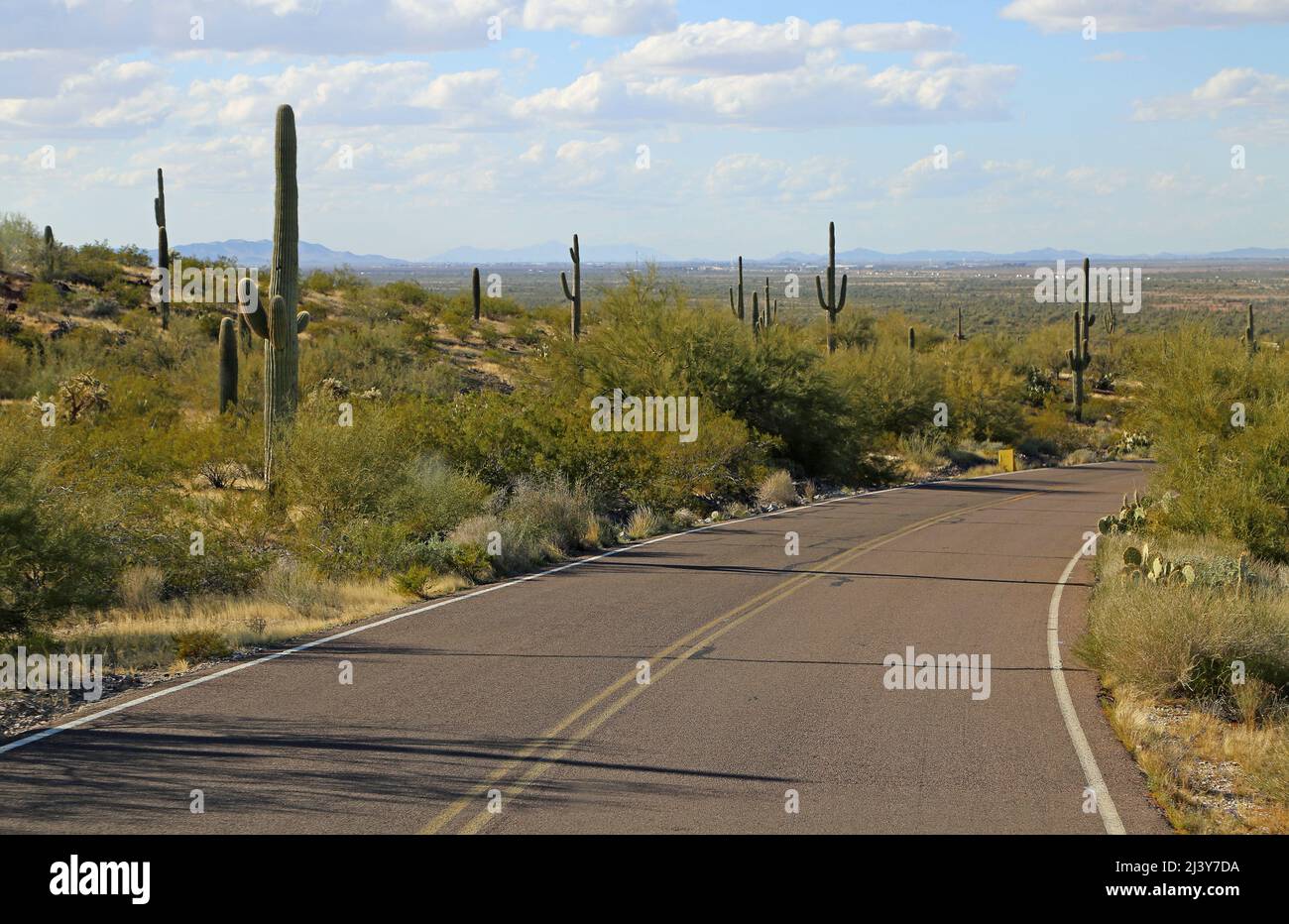 State park road Picacho Peak State Park, Arizona Stock Photo Alamy