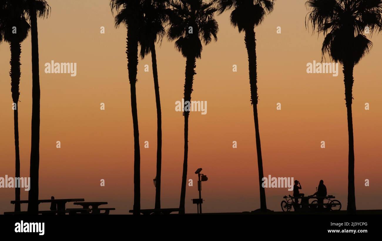 Orange sky, silhouettes of palm trees on beach at sunset, California
