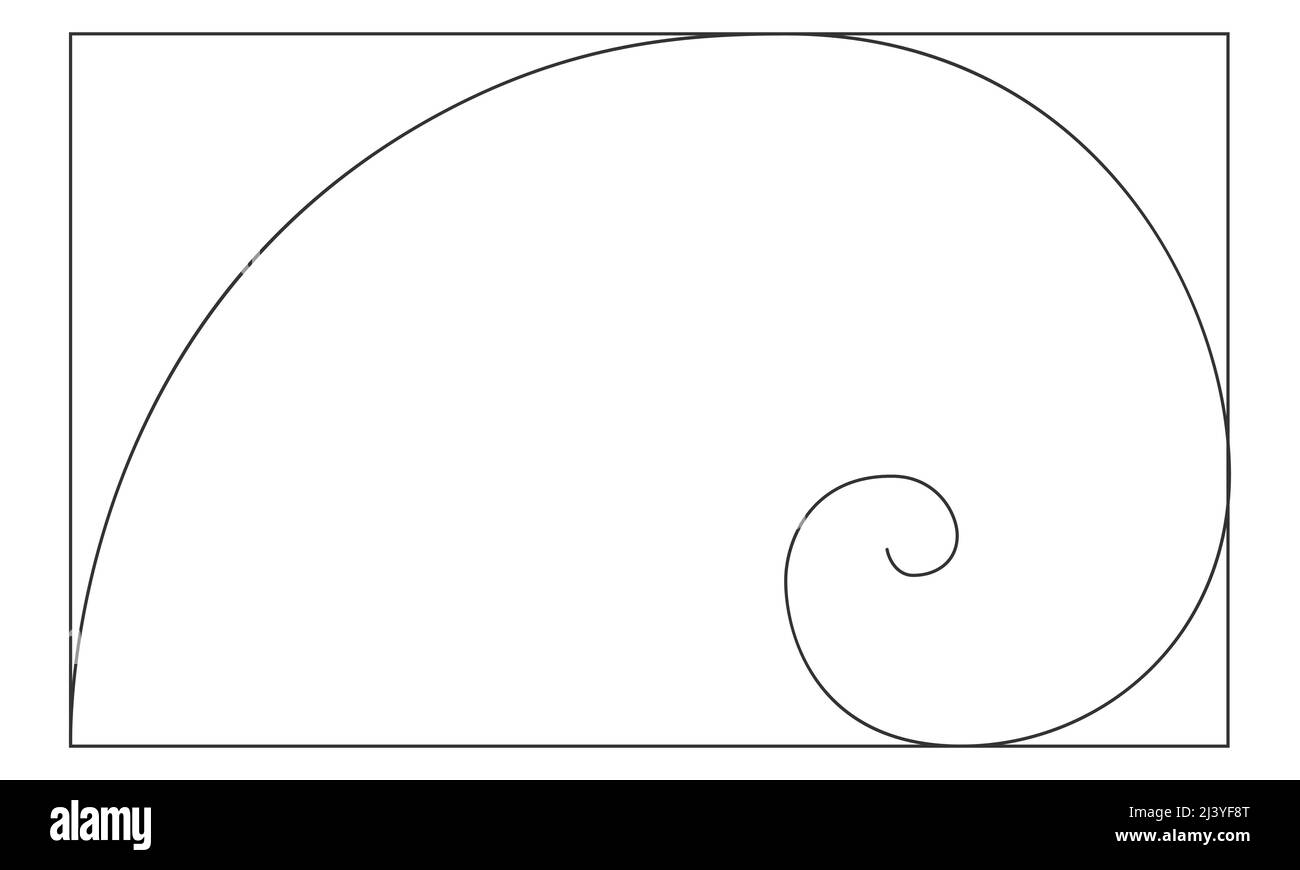 Golden ratio logarithmic spiral in rectangle frame. Harmony nature ideal proportions template. Nautilus shell shape. Leonardo Fibonacci sequence sign. Symmetry symbol. Vector outline illustration Stock Vector