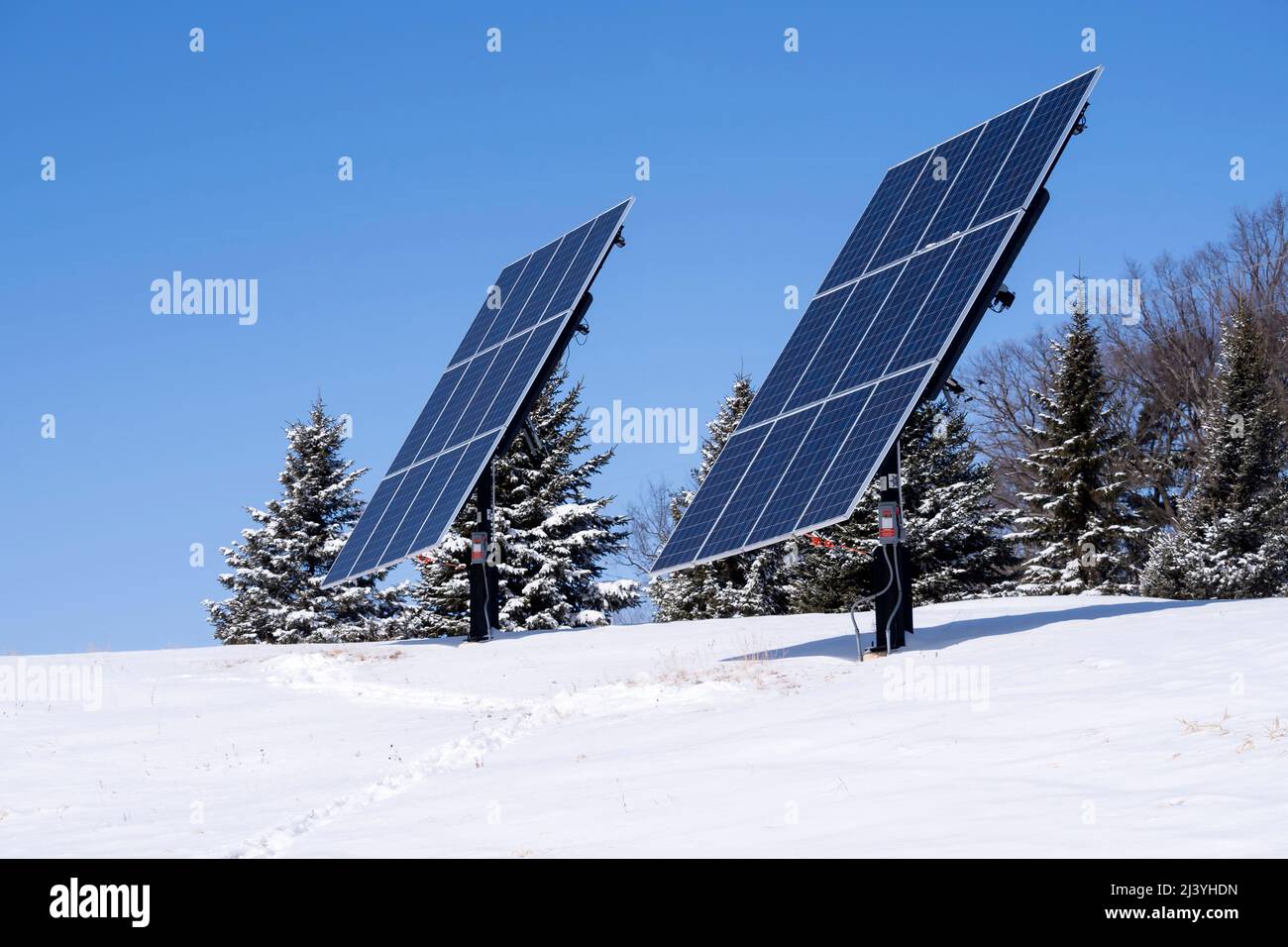 photovoltaic solar panels on a hilltop with a row of spruce trees as a windbreak in a winter rural setting. Stock Photo