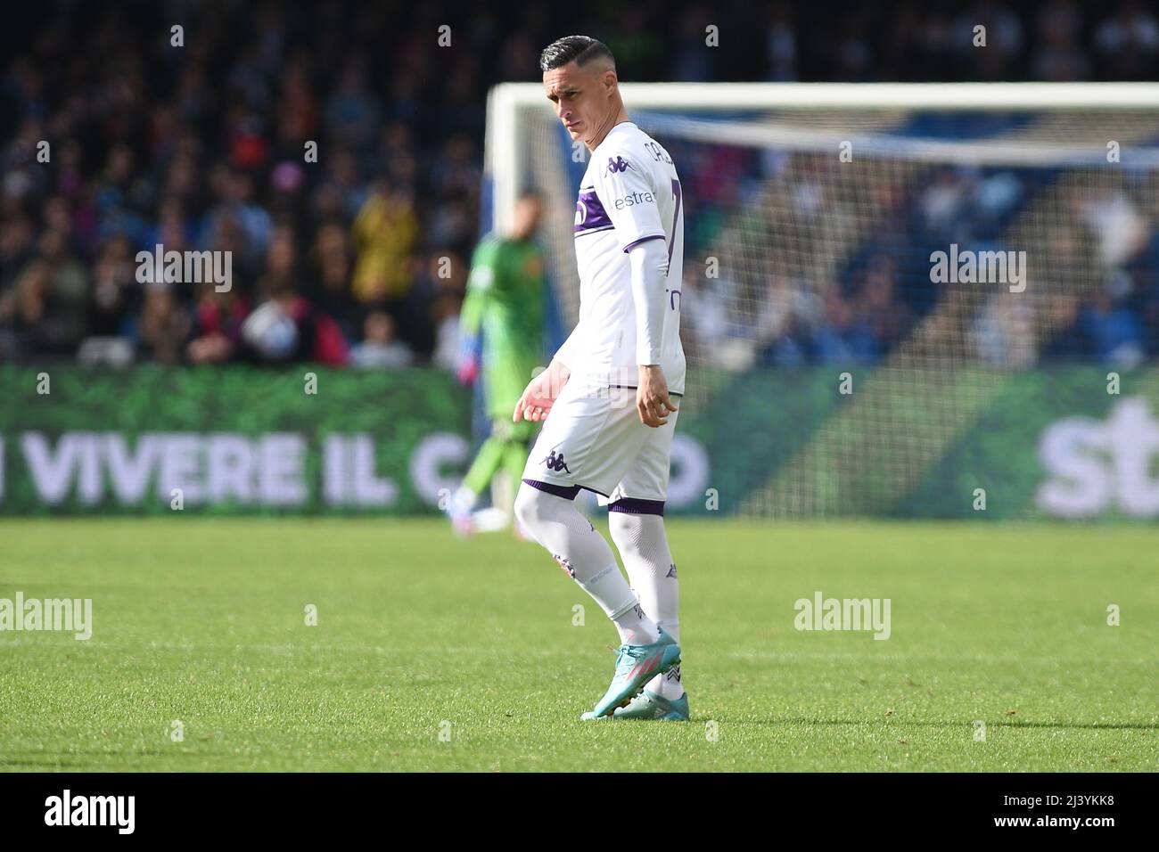 Jose' Callejon (Fiorentina) during the italian soccer Serie A match Empoli  FC vs ACF Fiorentina on November 27, 2021 at the Carlo Castellani stadium  in Empoli, Italy (Photo by Fabio Fagiolini/LiveMedia/NurPhoto Stock