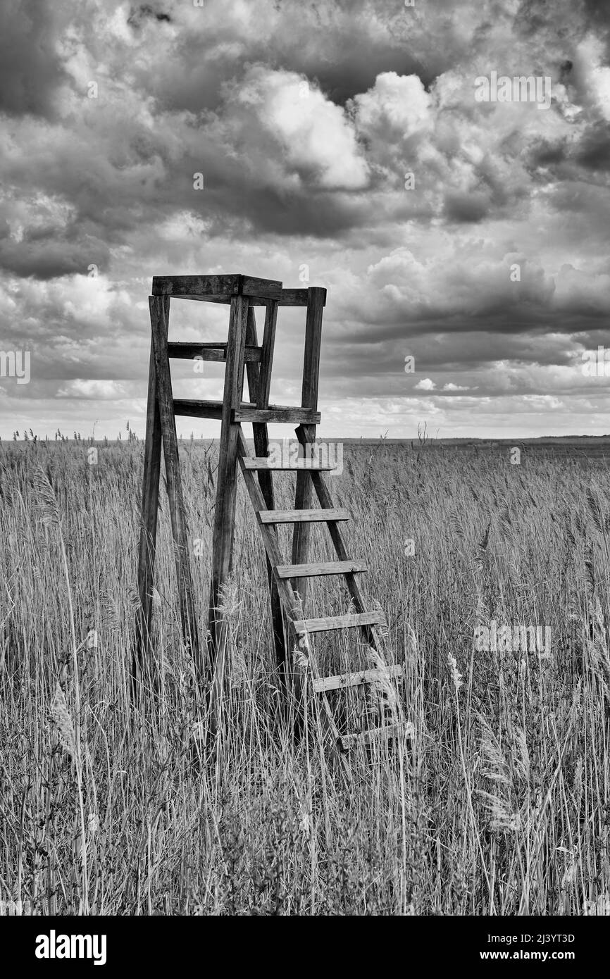 A hunting stand at Bombay Hook National Wildlife Refuge in Delaware captured in a black and white photograph. Stock Photo