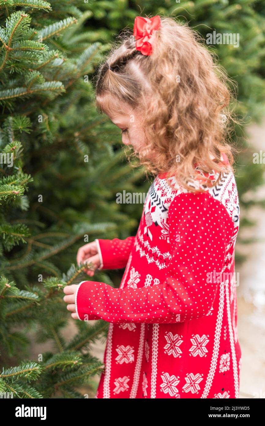 Little girl in red dress at the Christmas tree farm Stock Photo - Alamy
