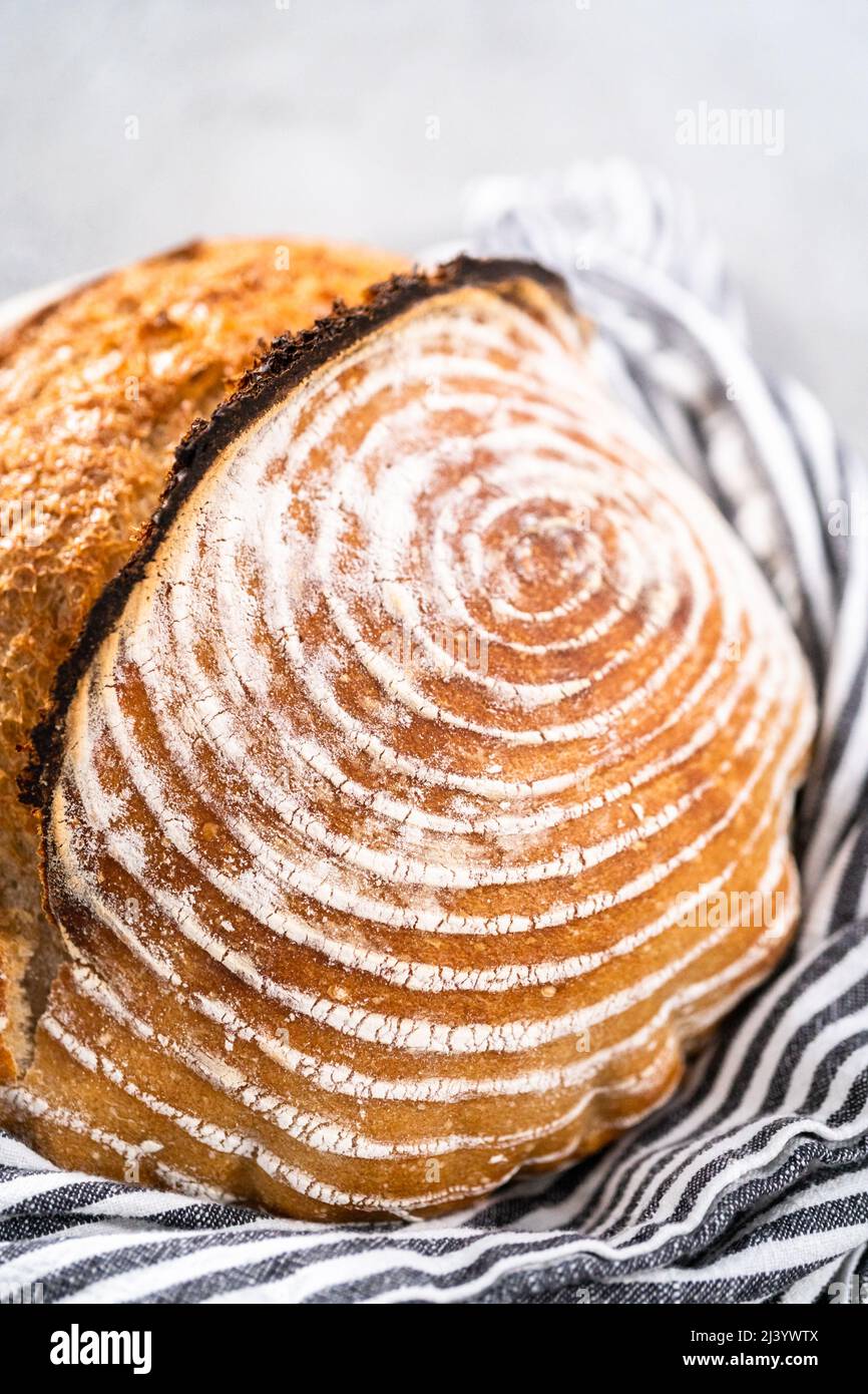 Freshly baked loaf of a wheat sourdough bread with marks from bread