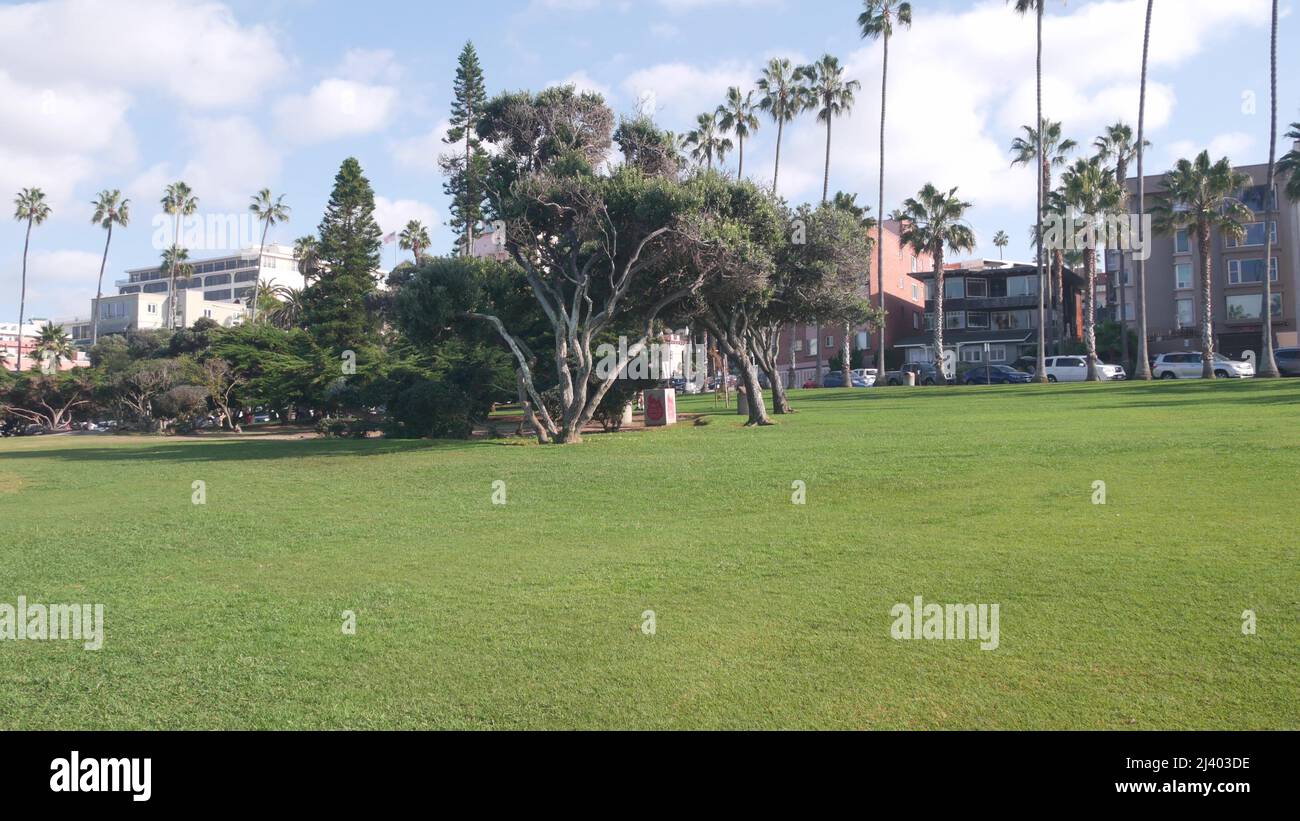 Row palm trees rocky point hi-res stock photography and images - Alamy