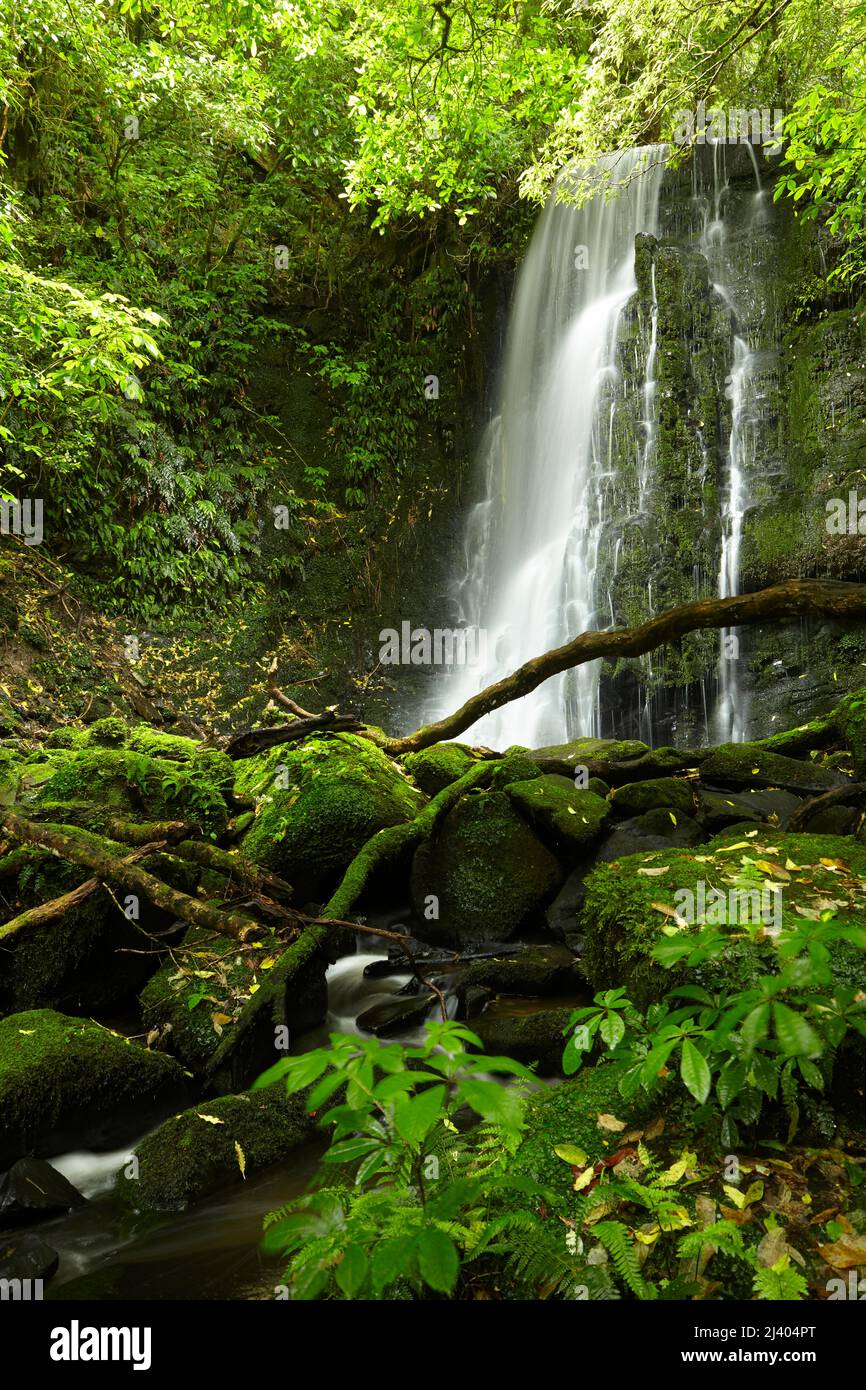 Matai Falls, Catlins, South Island, New Zealand Stock Photo