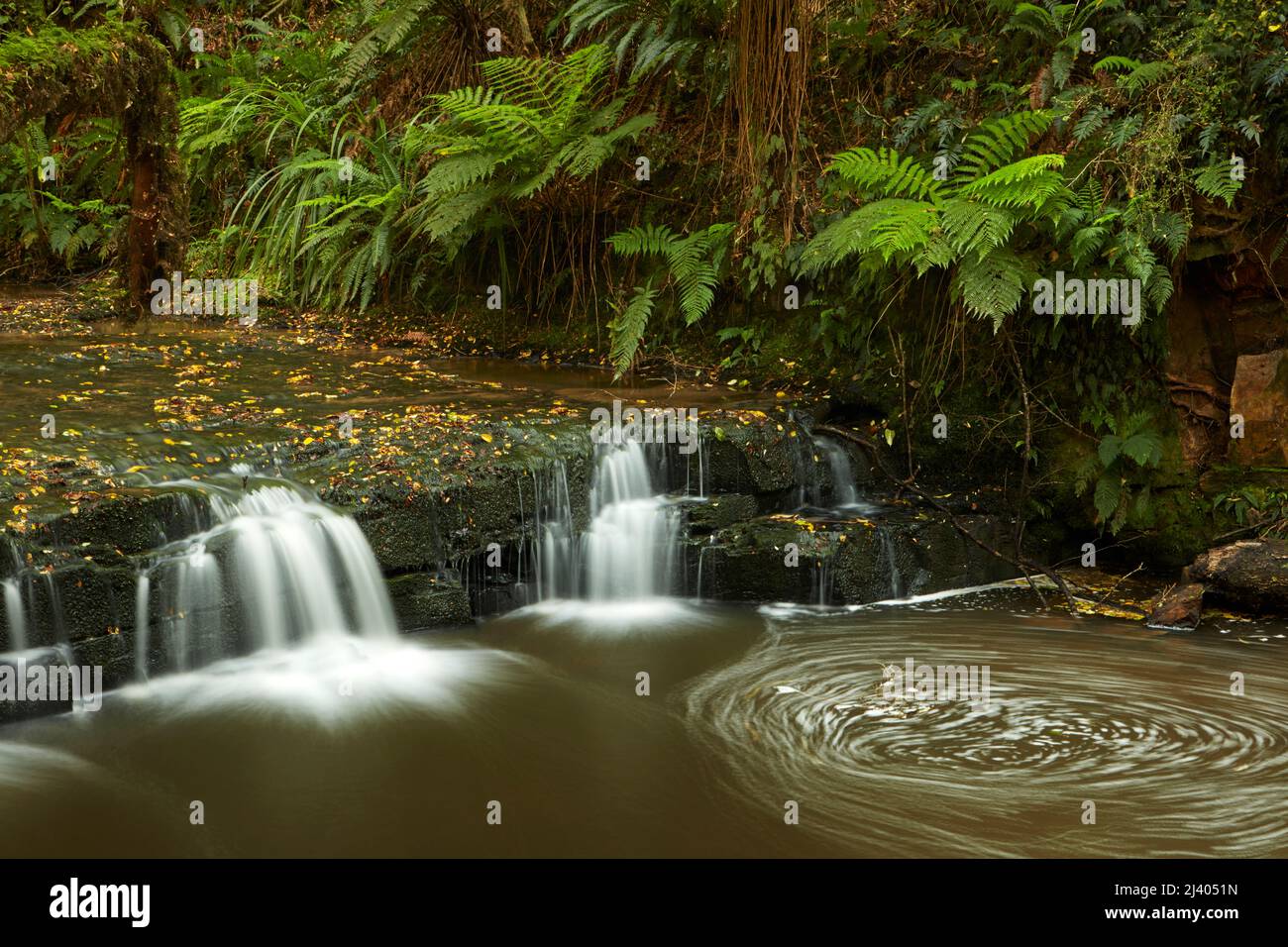 Small cascade above Purakaunui Falls, Catlins, South Otago, South Island, New Zealand Stock Photo