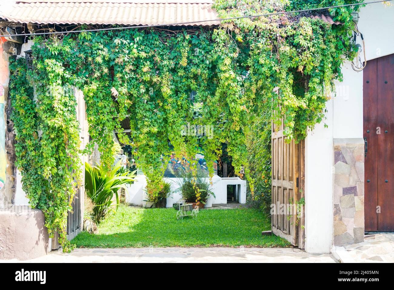 Opened entranced to the backyard or garden with overgrown gate covered