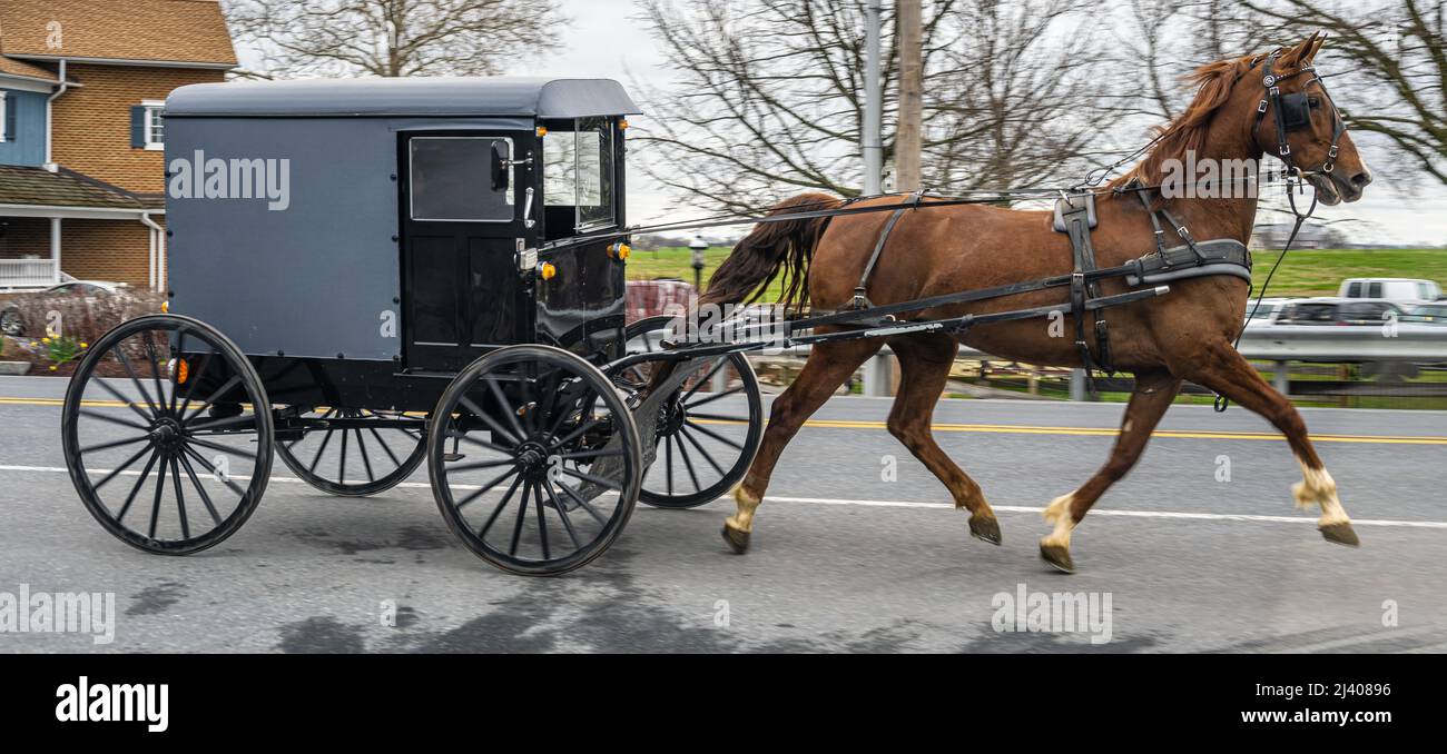 Amish Country horse and buggy on a road in Bird in Hand, a farming community township in Lancaster County, Pennsylvania. (USA) Stock Photo