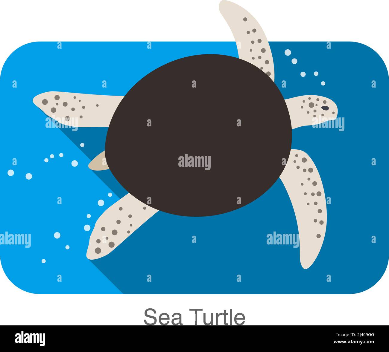 Sea Turtle swimming in the sea, flat illustration vector Stock Vector ...