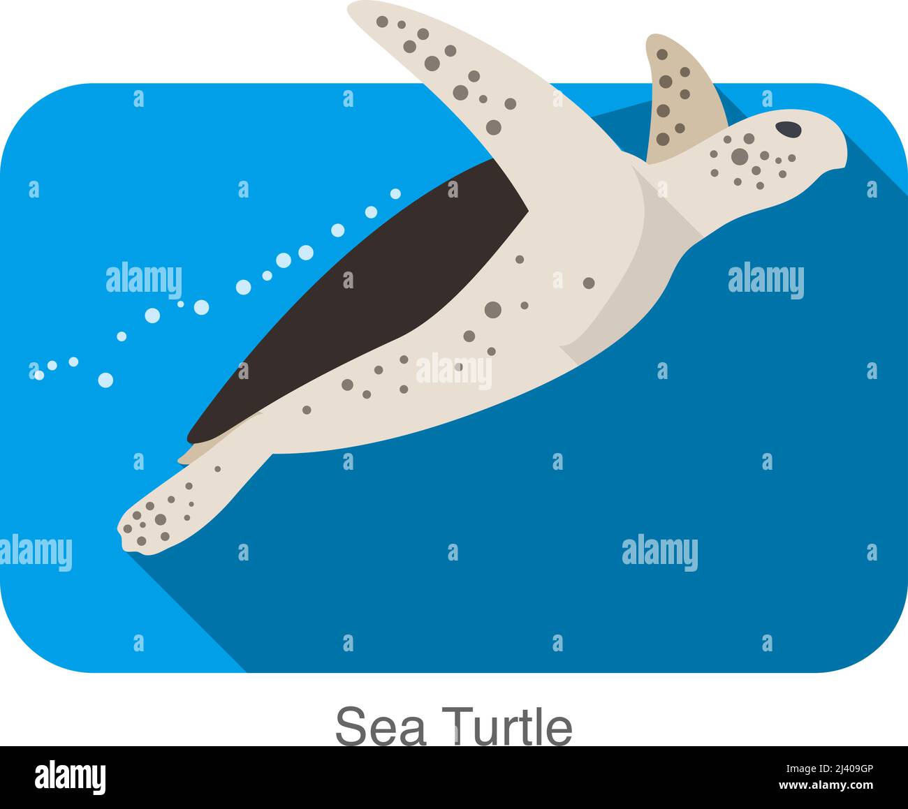 Sea Turtle swimming in the sea, flat illustration vector Stock Vector ...