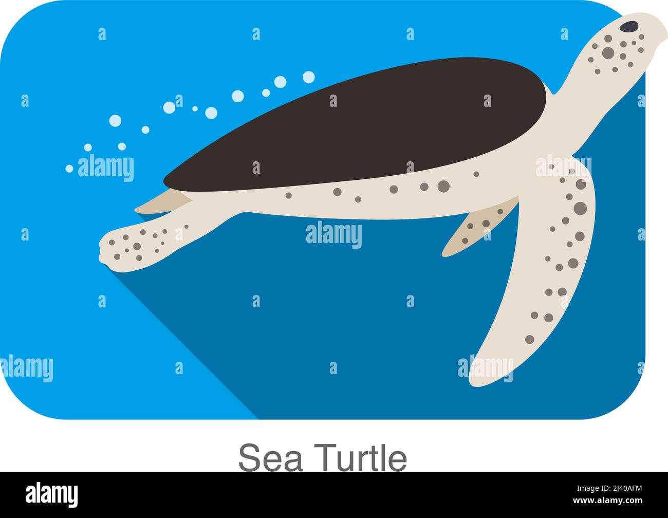 Sea Turtle swimming in the sea, flat illustration vector Stock Vector ...