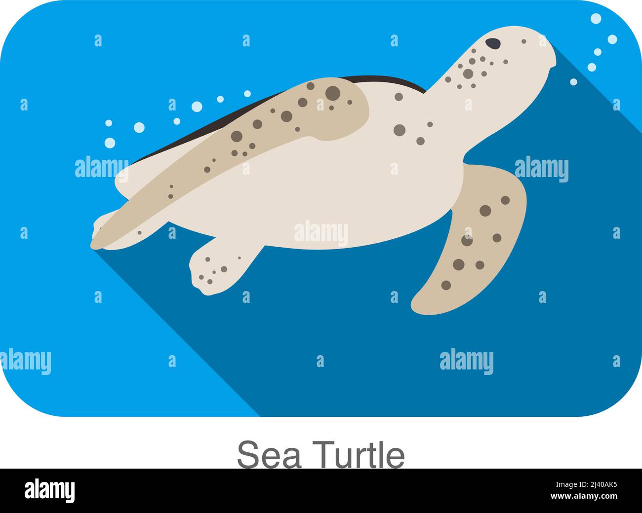 Sea Turtle swimming in the sea, flat illustration vector Stock Vector ...