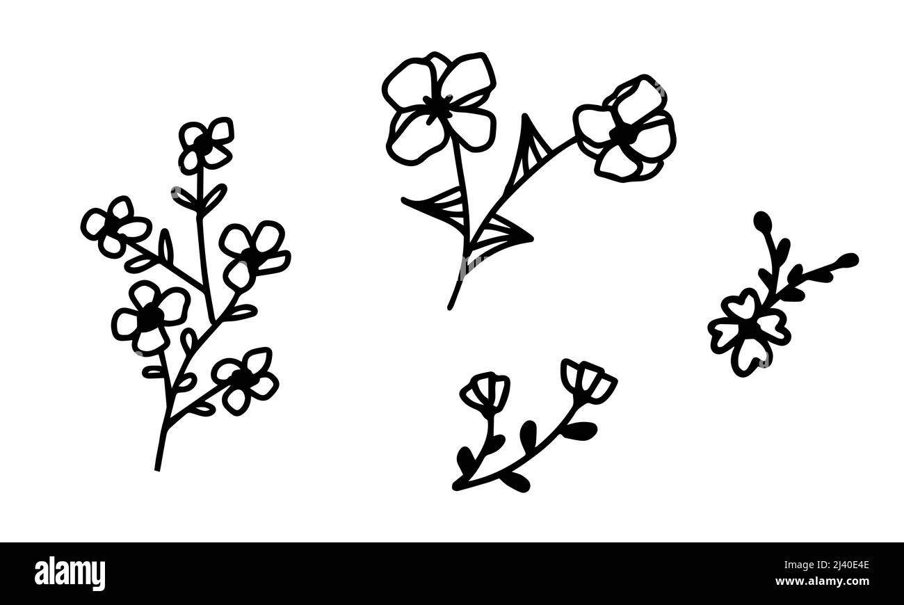 Set of black floral doodles. Flowers variety, hand drawn with liner. Spring themed sketch elements Stock Vector