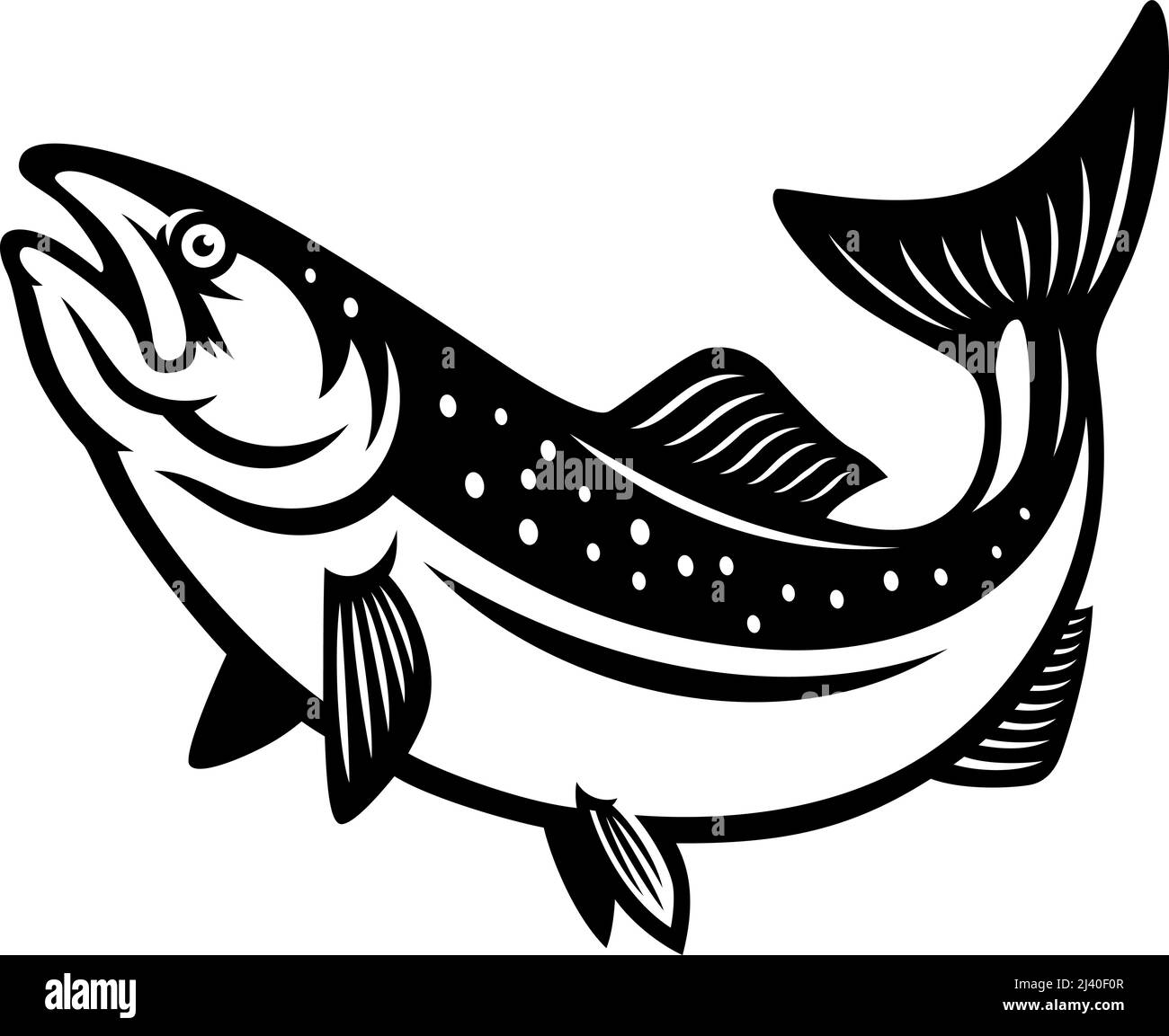 Salmon Fish Vector Illustration in Monochrome Style Stock Vector Image