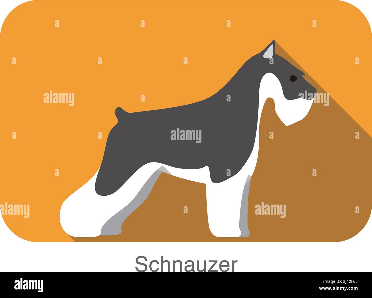 Schnauzer dog breed flat icon design, vector illustration Stock Vector