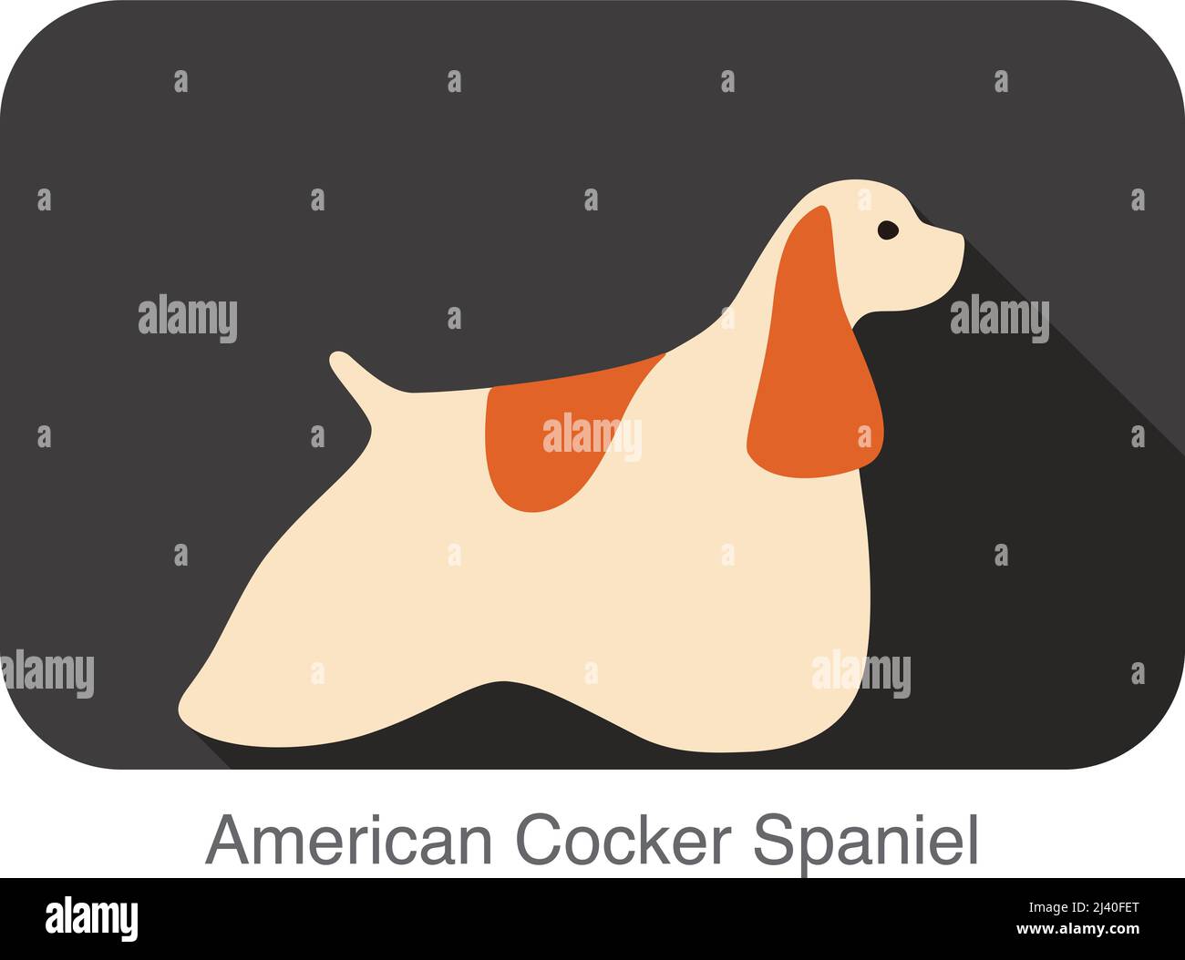 American Cocker Spaniel dog breed flat icon design, vector illustration ...