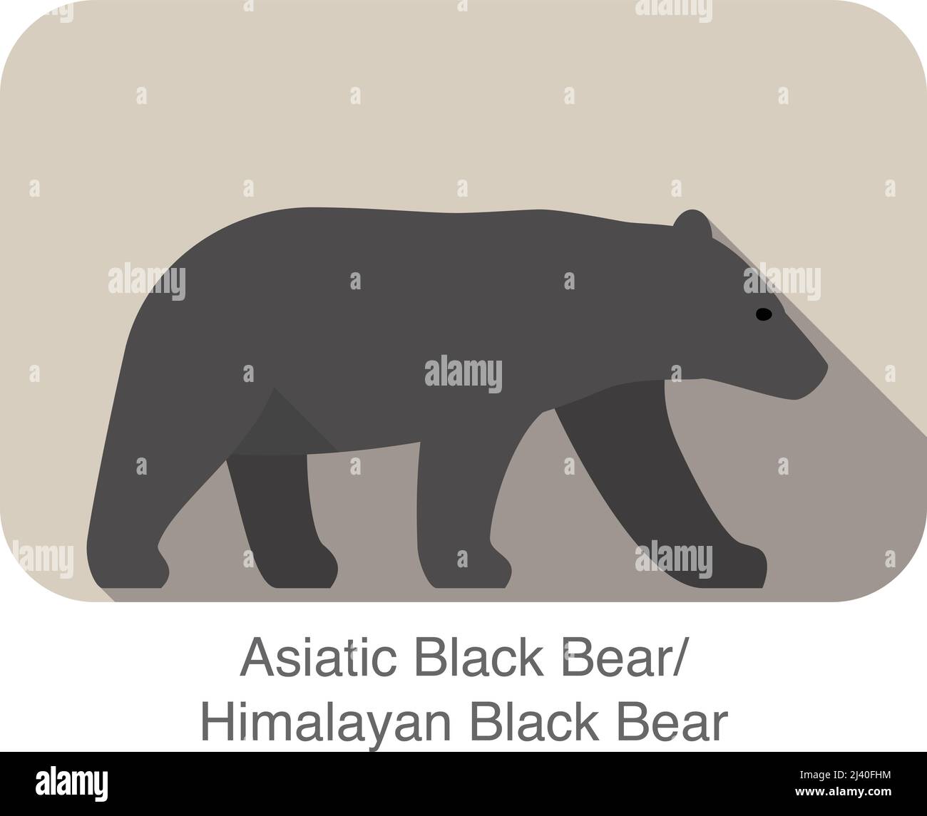 Asiatic black bear walking side flat 3D icon design, vector illustration Stock Vector