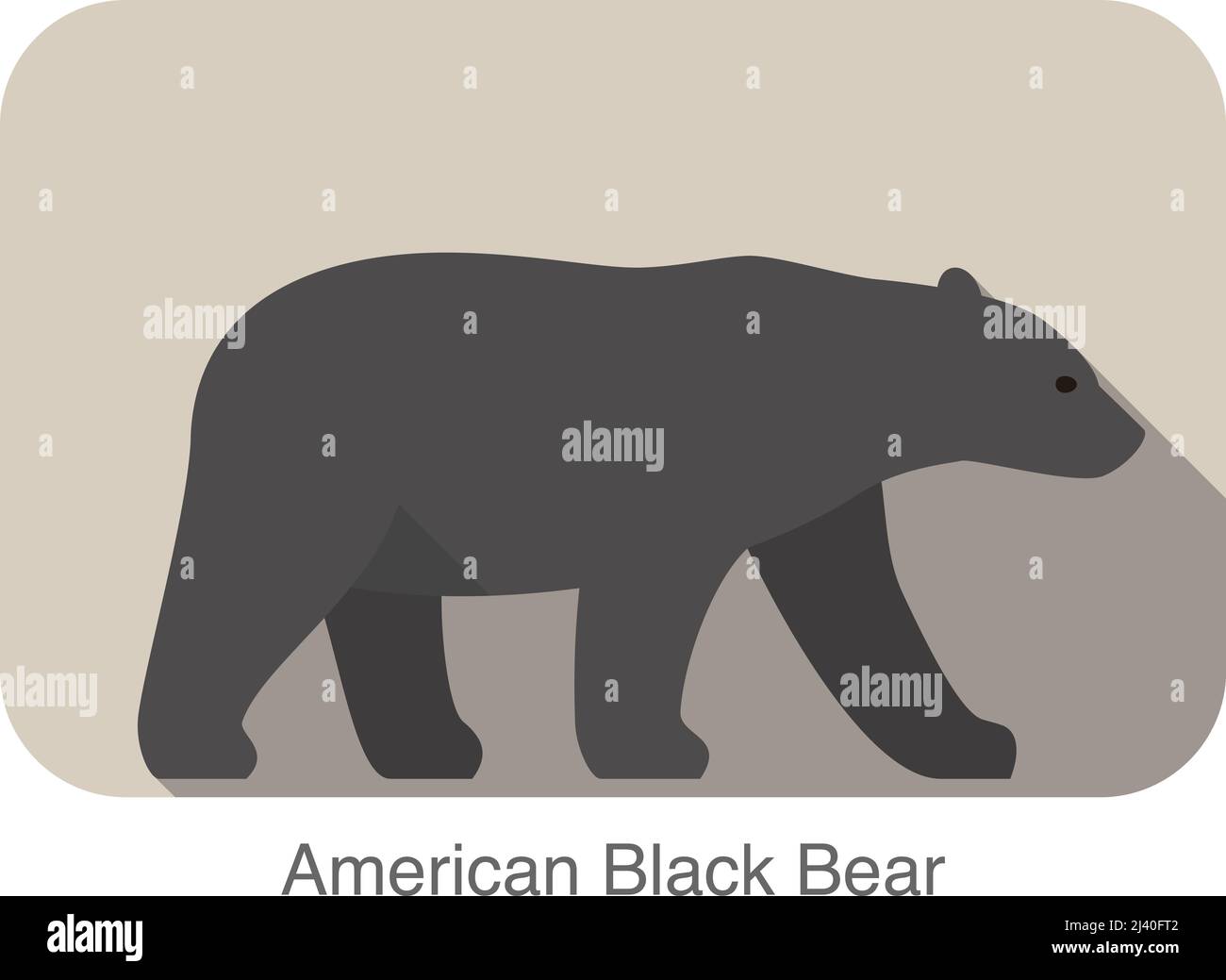 American black bear walking side flat 3D icon design, vector illustration Stock Vector