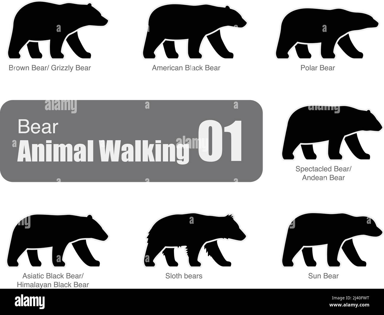 American black bear walking side flat 3D icon design, vector illustration Stock Vector