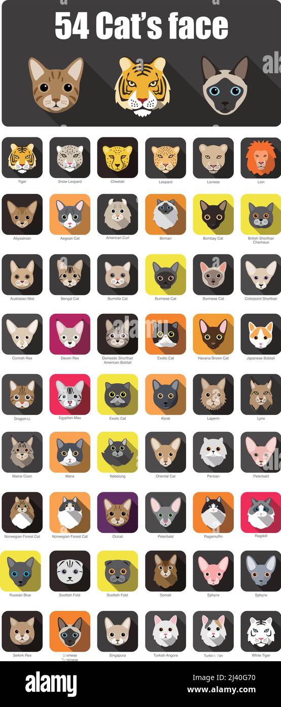 Cat breed face cartoon flat icon design Stock Vector