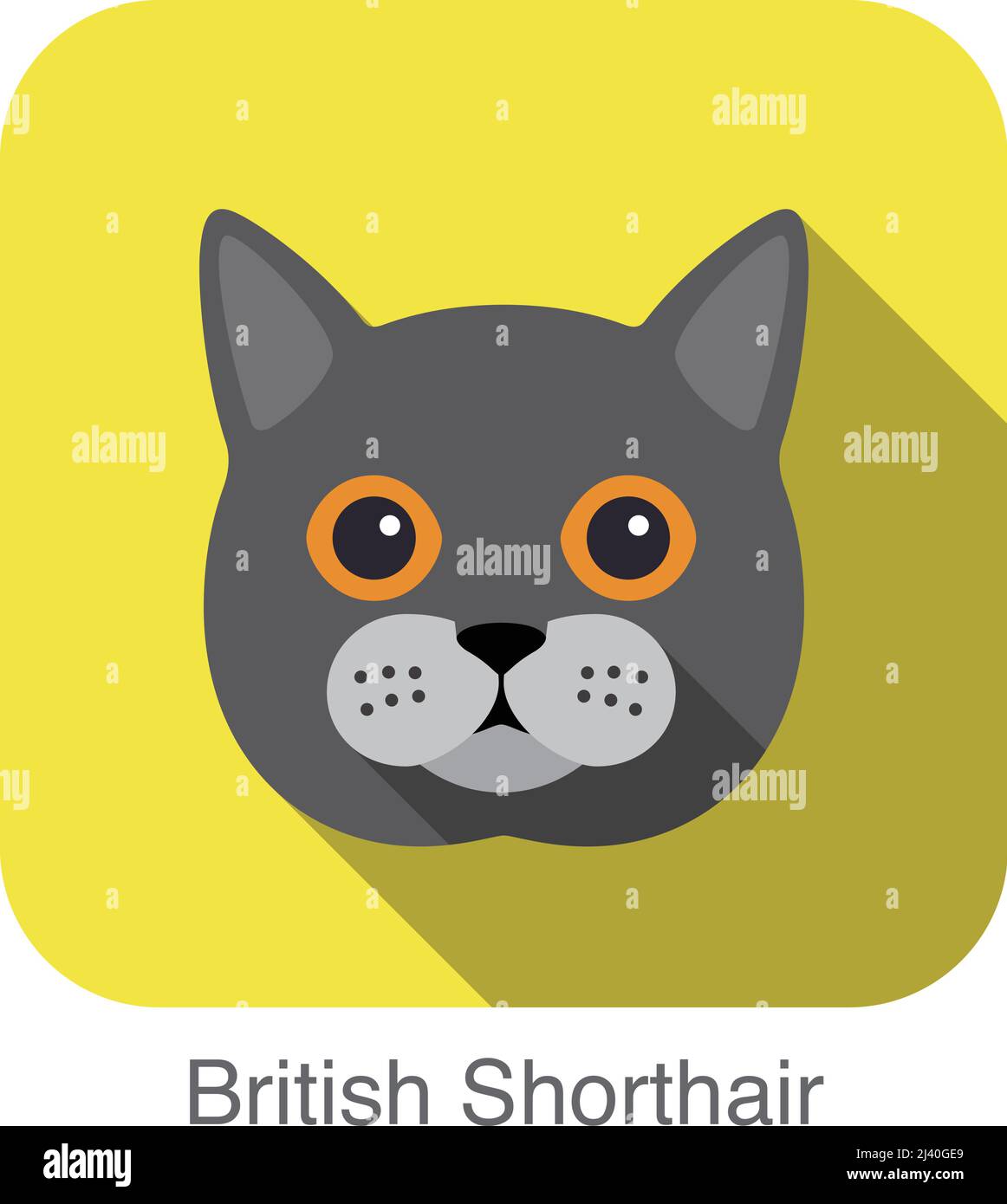 British wildlife close up Stock Vector Images Alamy