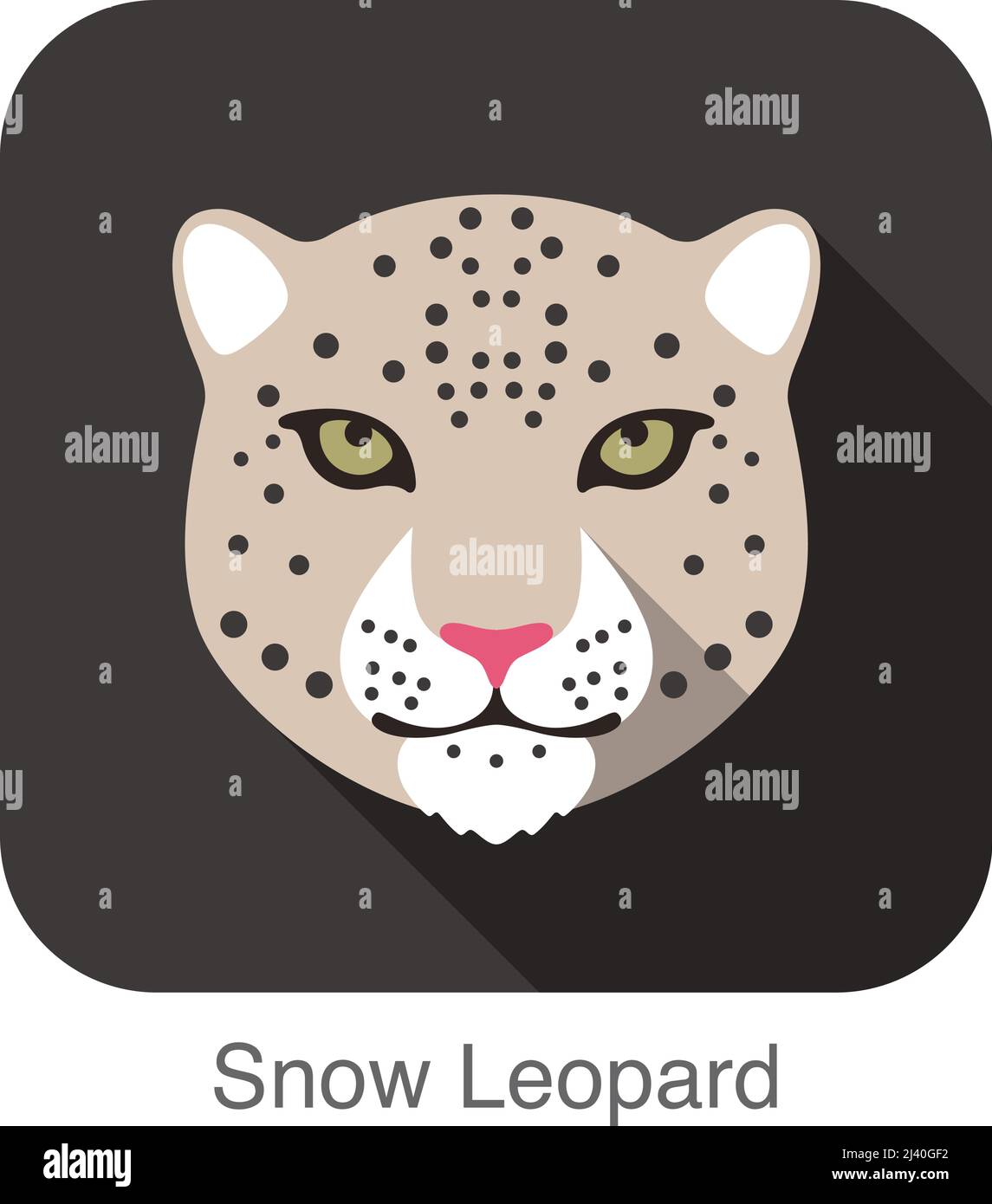 Snow leopard, Cat breed face cartoon flat icon design Stock Vector