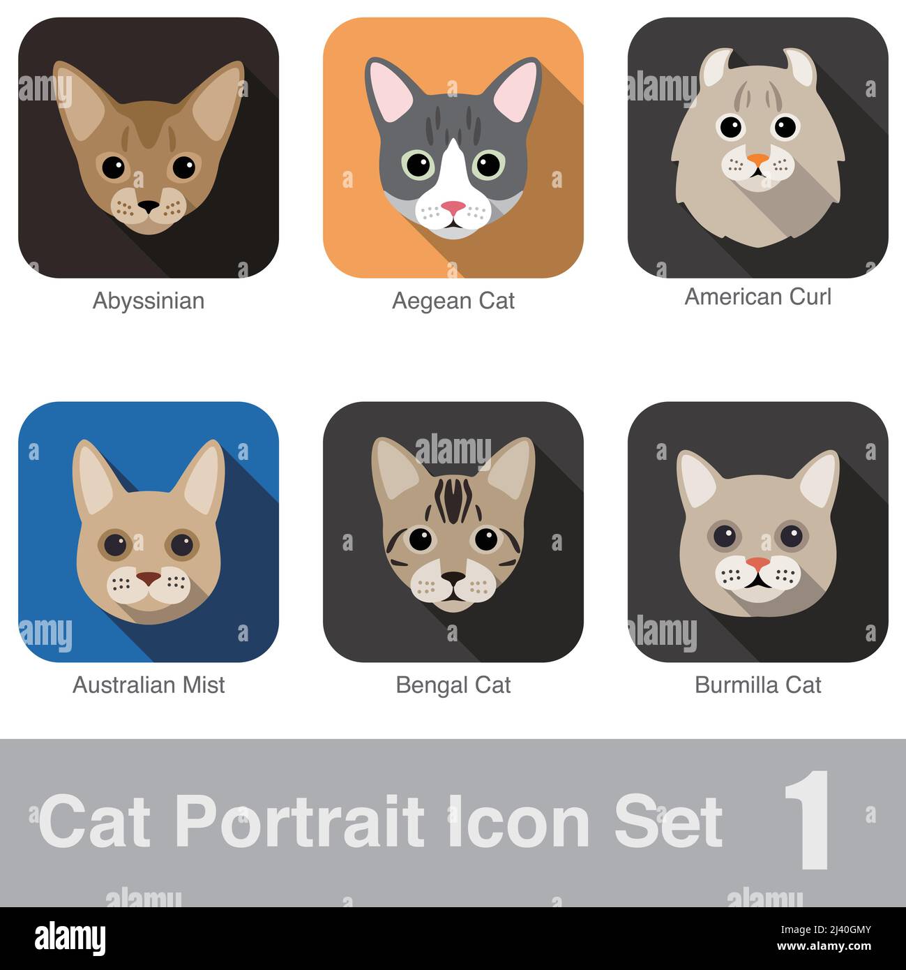 Cat breed face cartoon flat icon design Abyssinian, Australian Mist