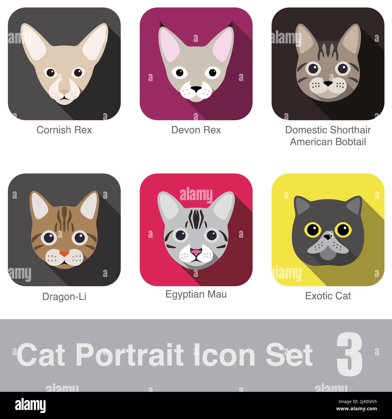 Domestic cat breed breed Stock Vector Images Alamy